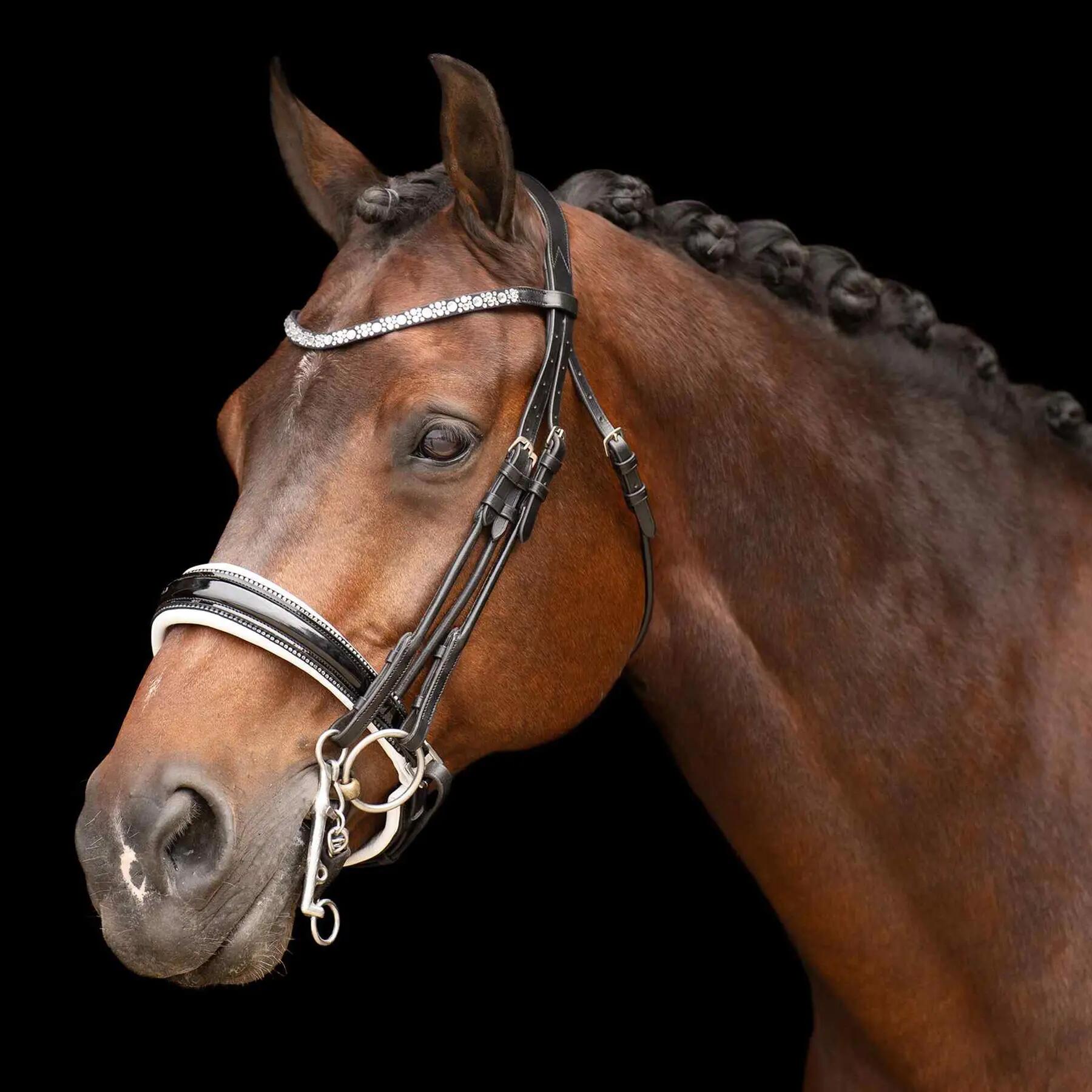 Uzda jeździecka Imperial Riding Olympia