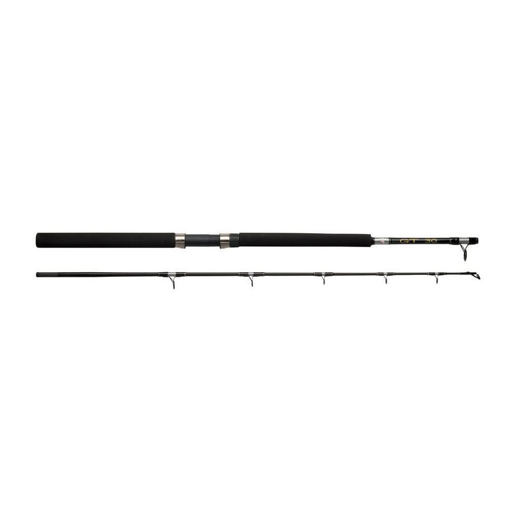 Wędka spinningowa do łodzi Abu Garcia GT 602 30LBS