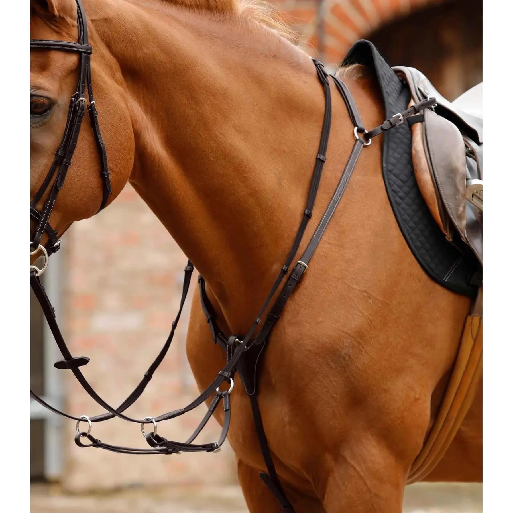 Napierśnik dla koni Premier Equine Norbello