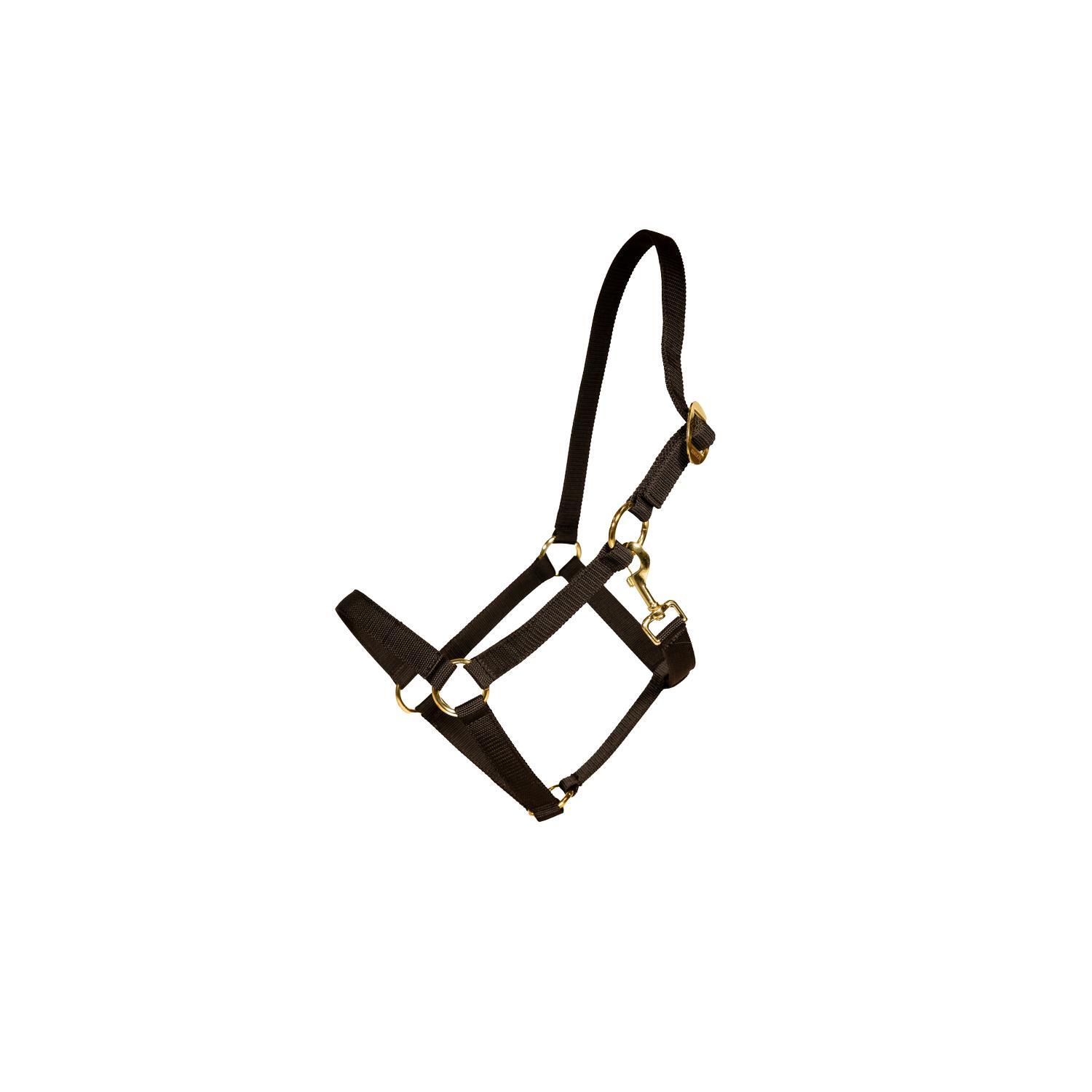 Nylonowy kantar dla konia Kentucky Horsewear