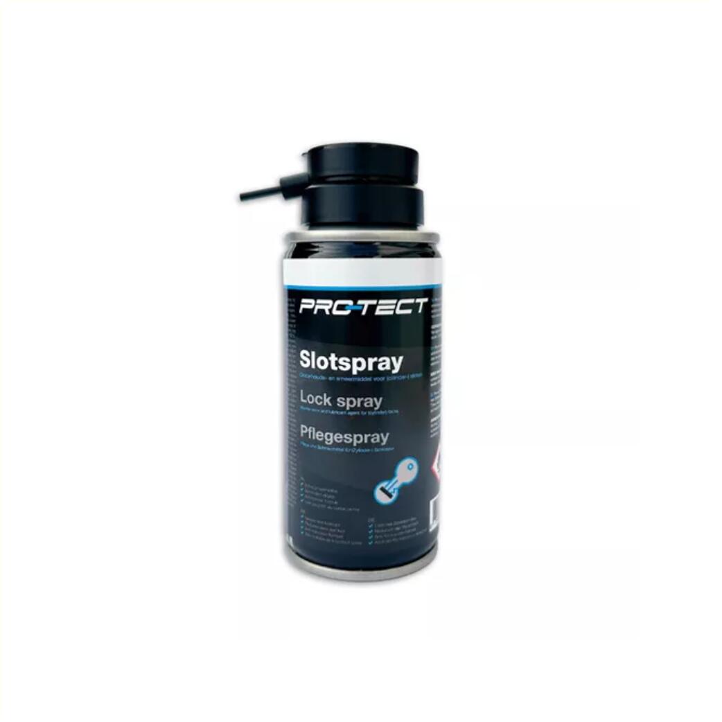 Spray do zamków Pro-Tect 100 ml