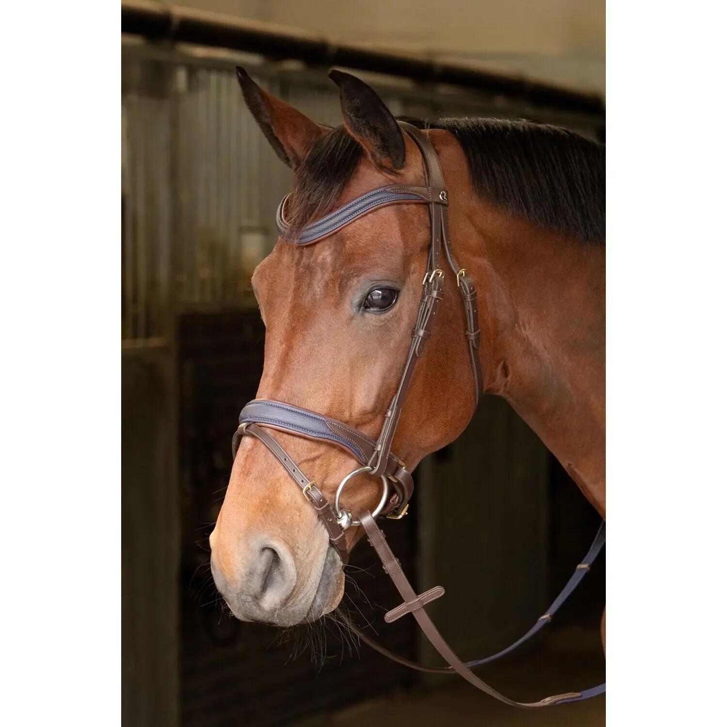 Uzda dla koni Harry's Horse Havanna