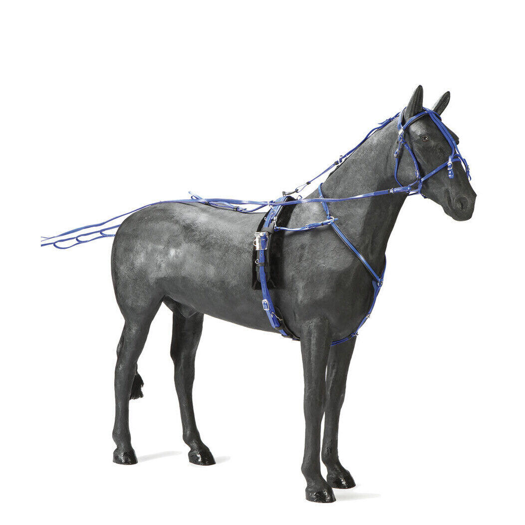 Szybki zaczep w pvc Daslö Trot