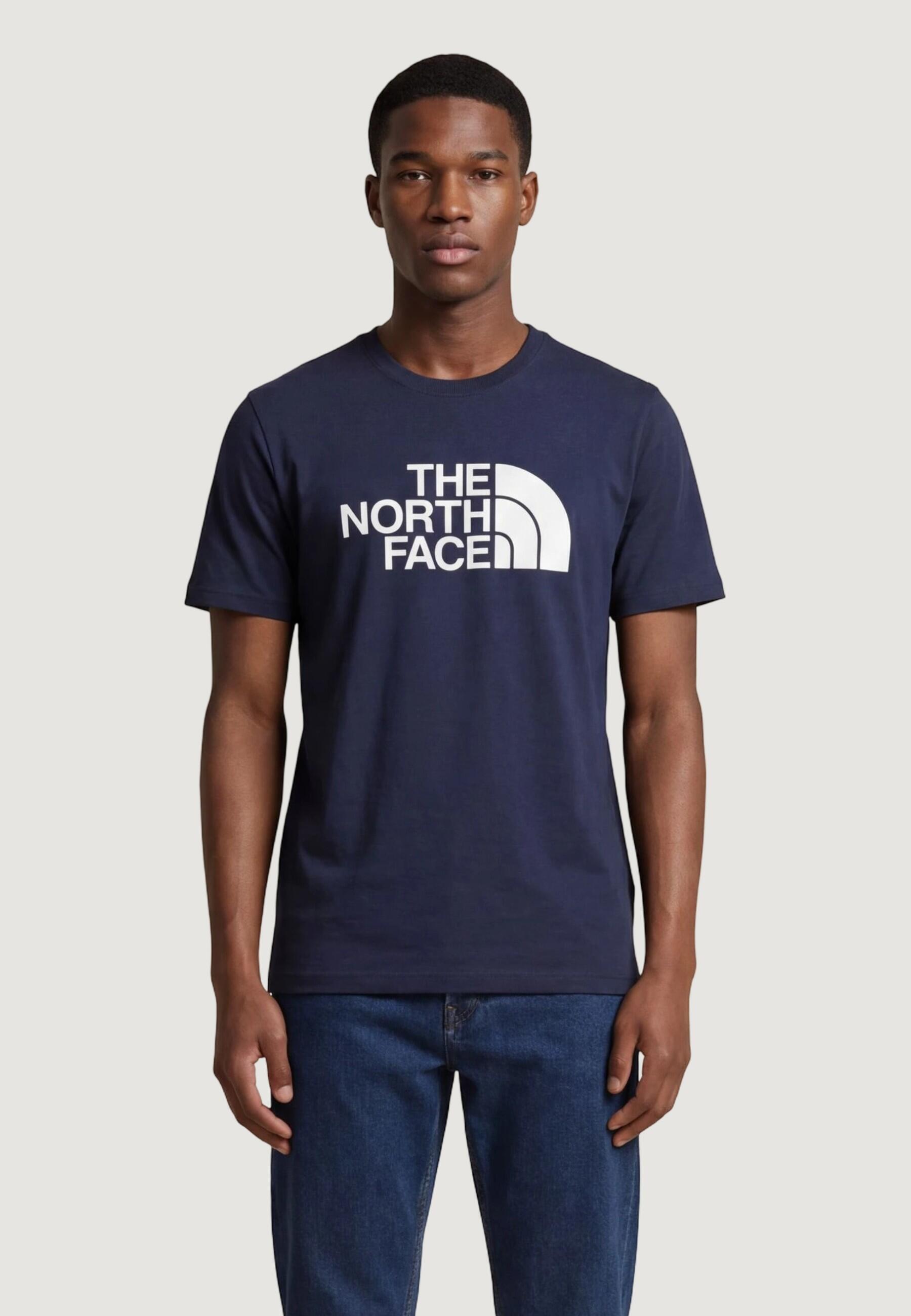 Koszulka turystyczna męska The North Face M Evolution Half Dome Tee
