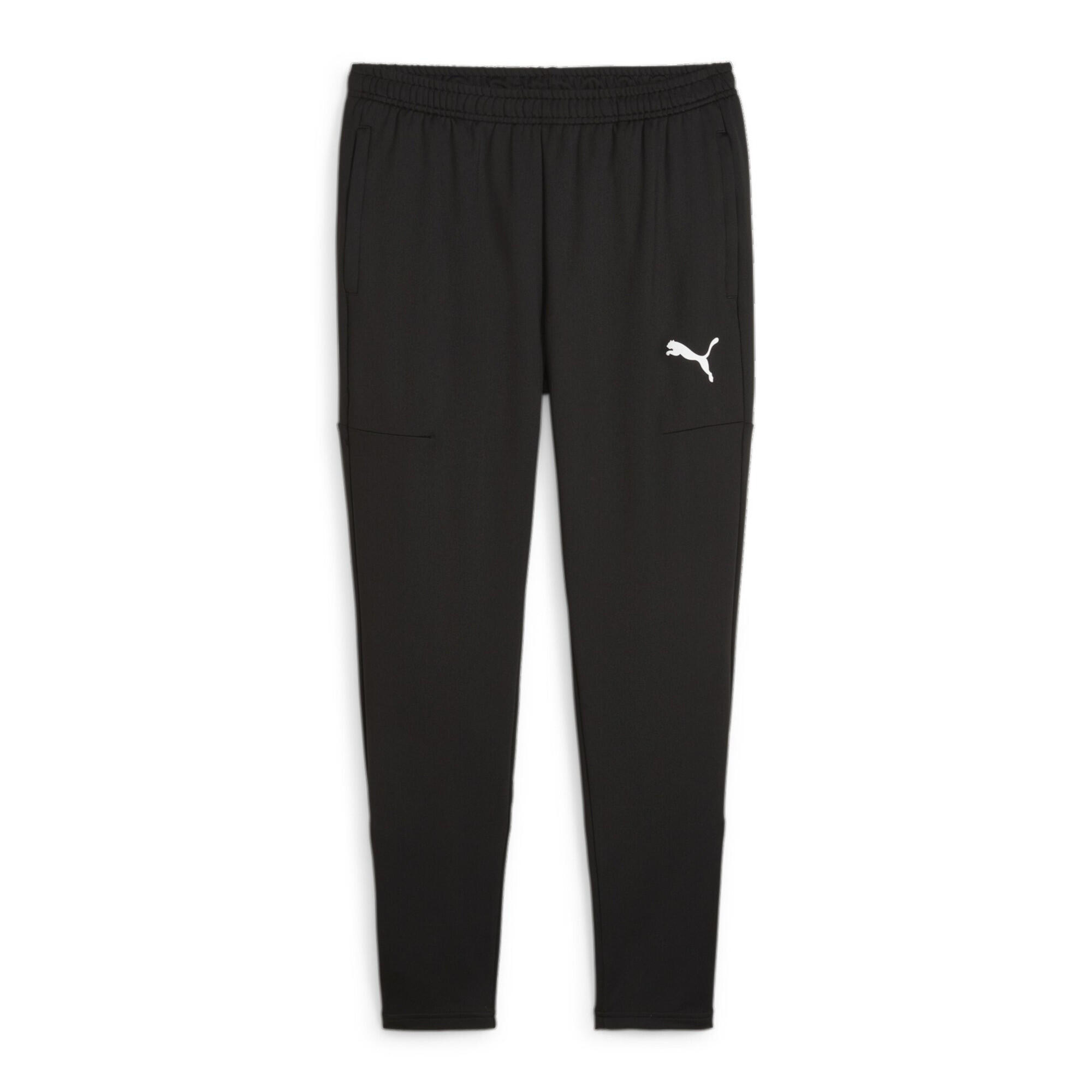Spodnie męskie Puma Team Goal Slim Training