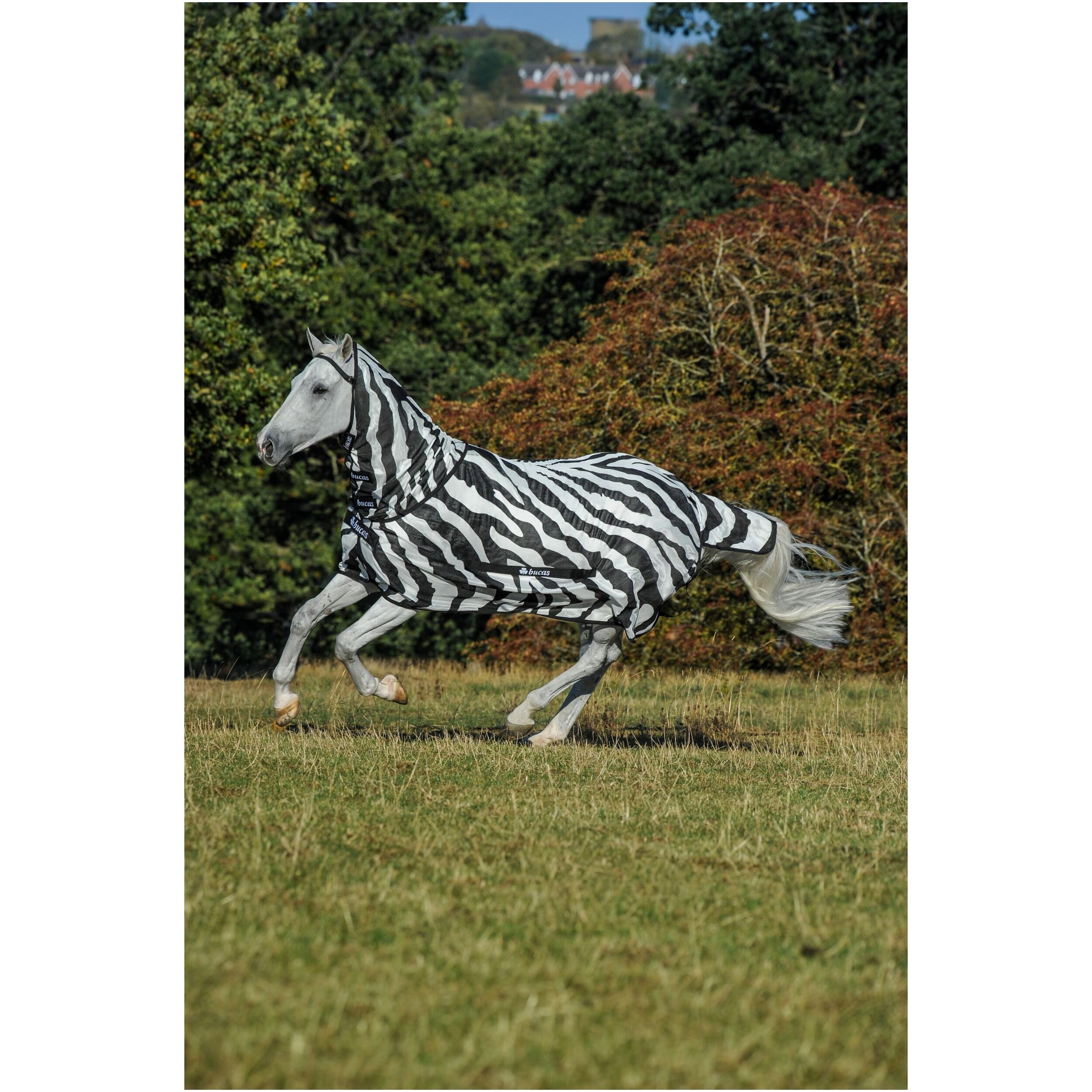 Akcesoria do derki dla konia Bucas Zebra