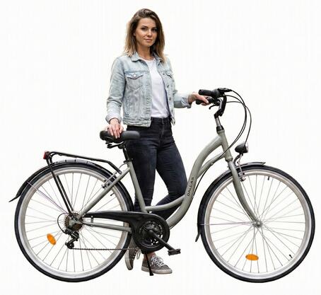 Rower Miejski Dallas Bike City 28 7spd