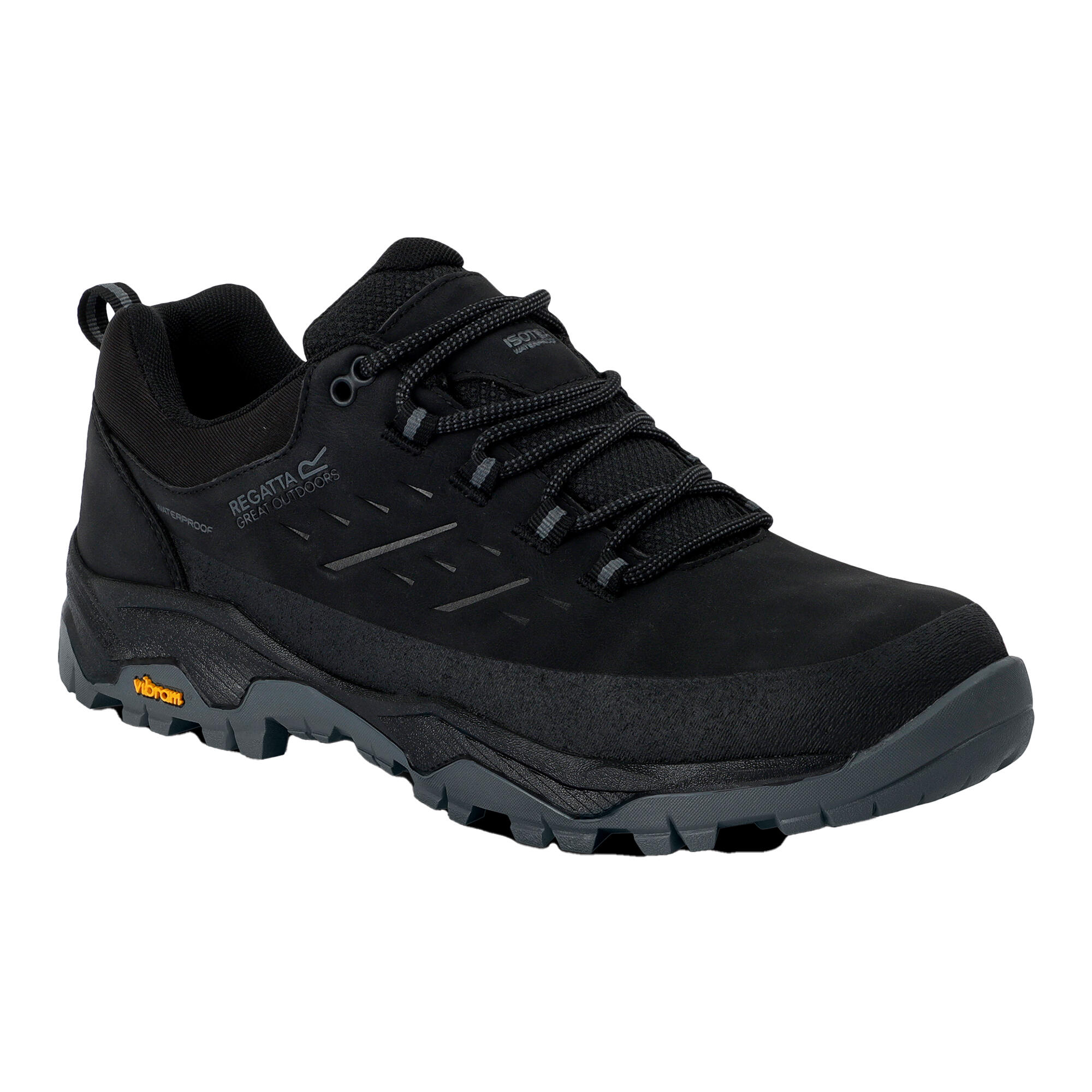 Męskie Buty Do Chodzenia Blake Low