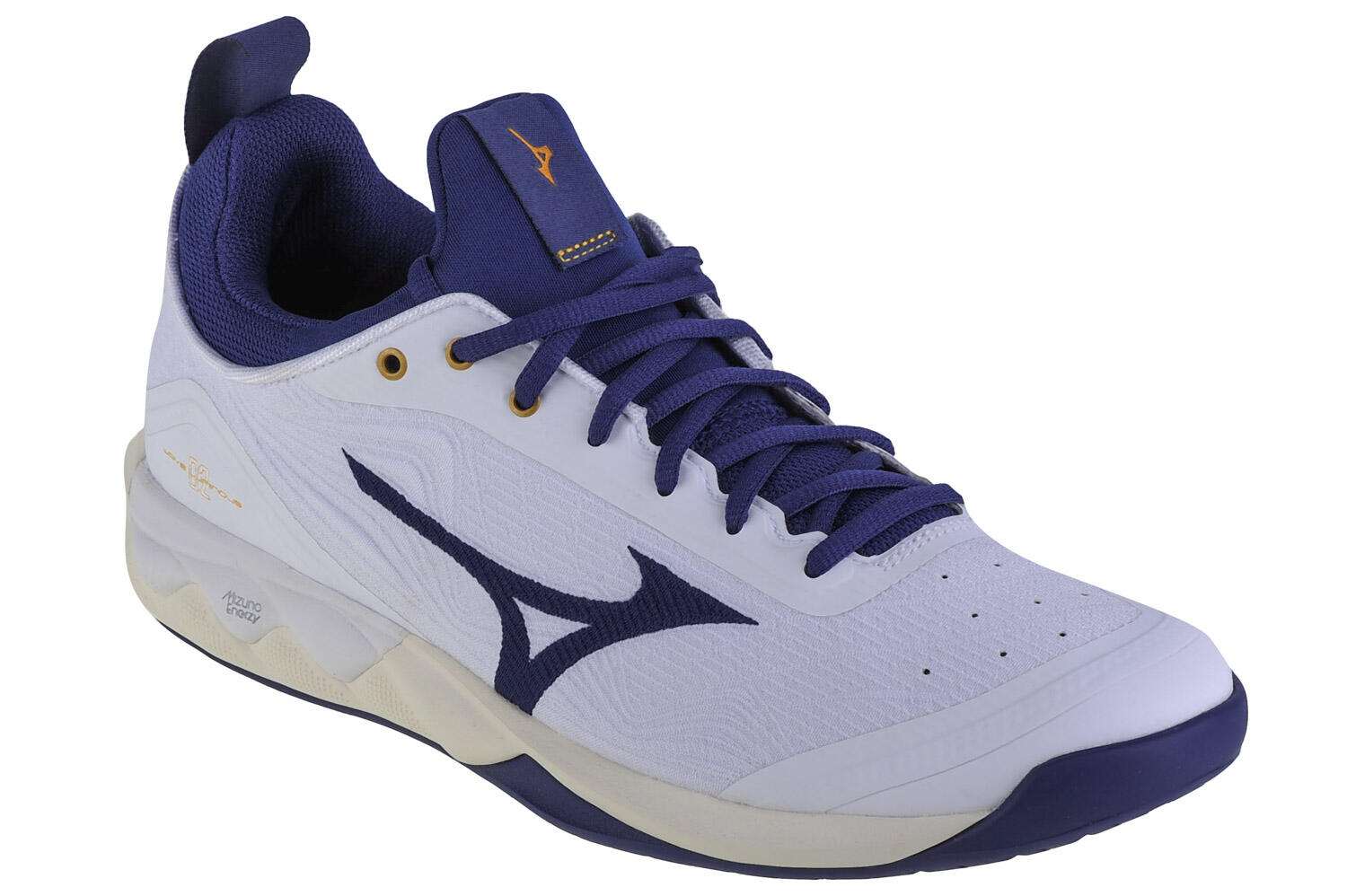 Buty siatkarskie męskie Mizuno Wave Luminous 2