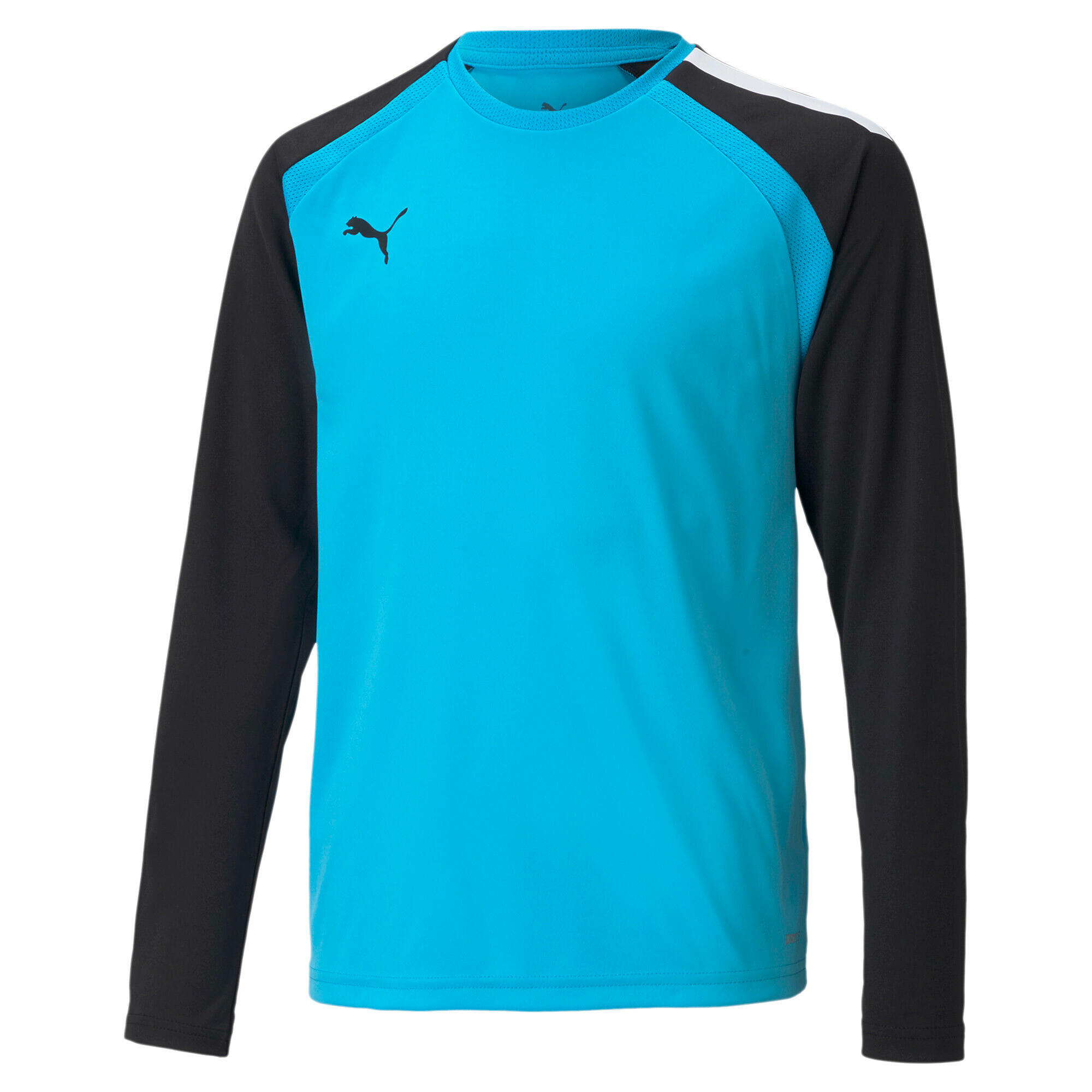 Dziecięcy dżersej z długim rękawem Puma Team Pacer GK