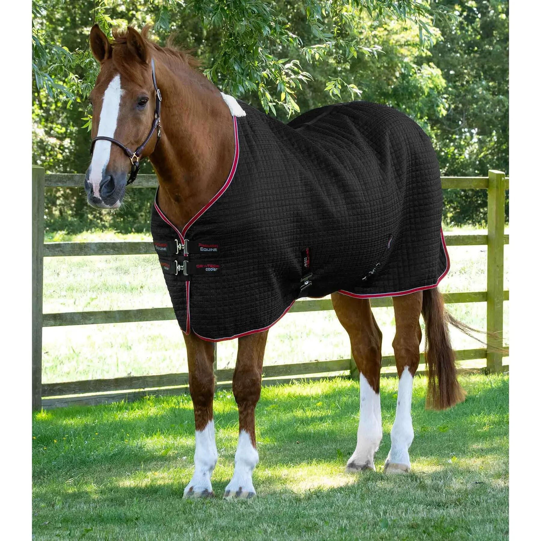 Koc do suszenia dla koni Premier Equine Dry-Tech