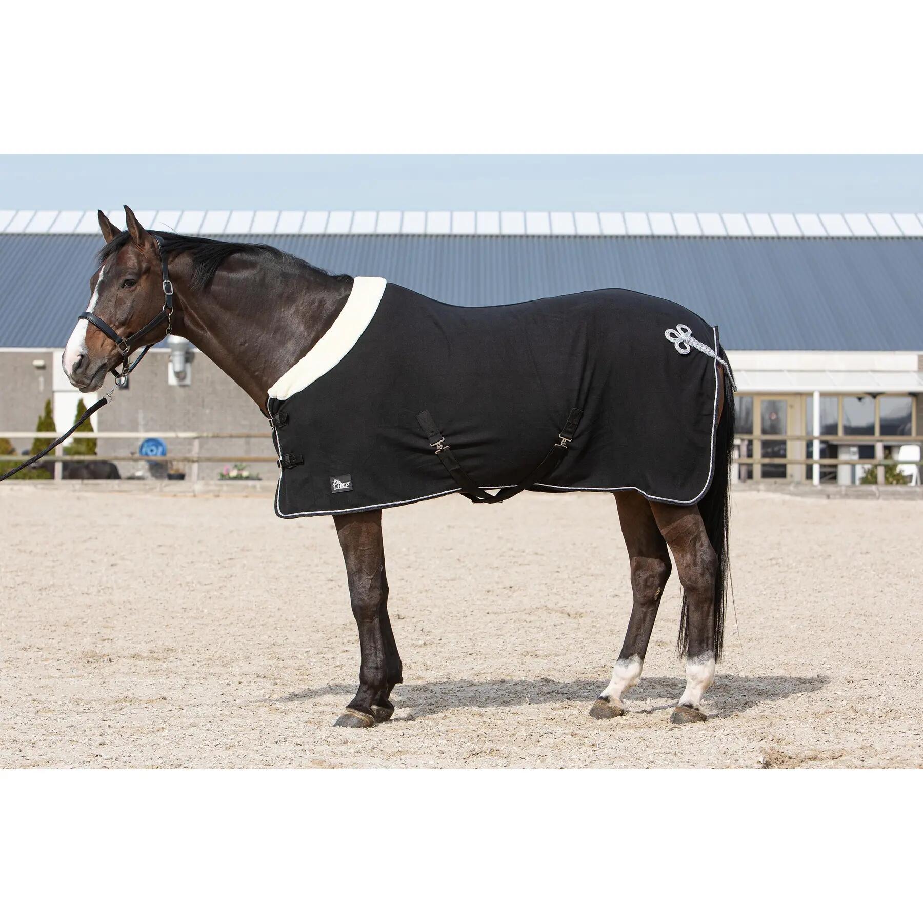 Derka polarowa osuszająca dla koni Harry's Horse Champion