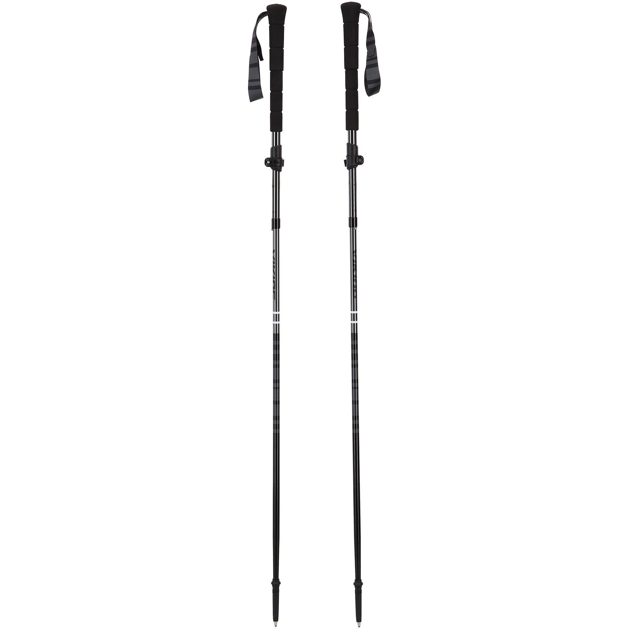 Kije dla dorosłych VIKING Kettera Pro Long Grip Trekking