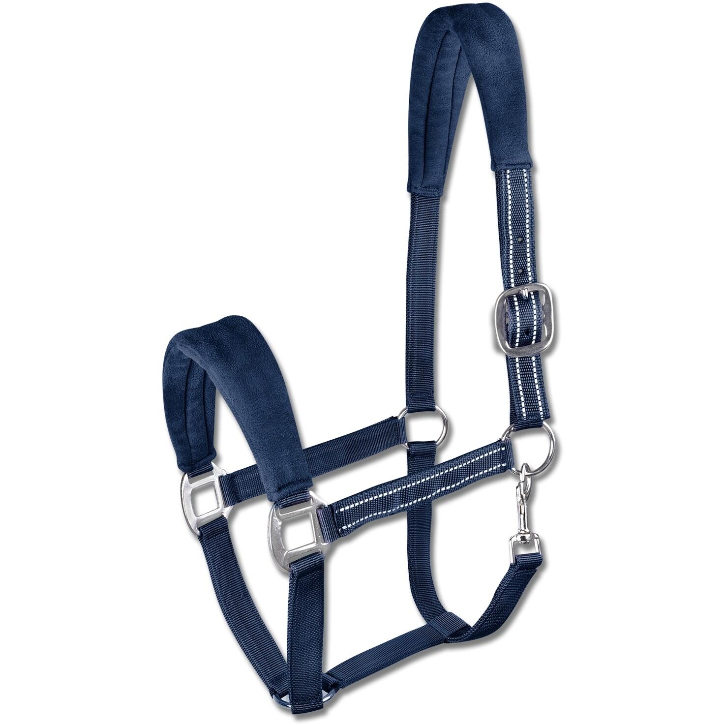 Munsztuk dla kuca Waldhausen Alcantara