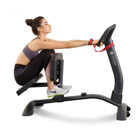 Ławka / Maszyna do rozciągania LifeSpan Fitness SP1000 Pro Stretchmaster