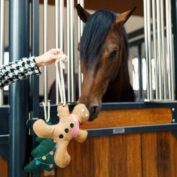 Zabawka dla konia wisielec Imperial Riding Stable buddy