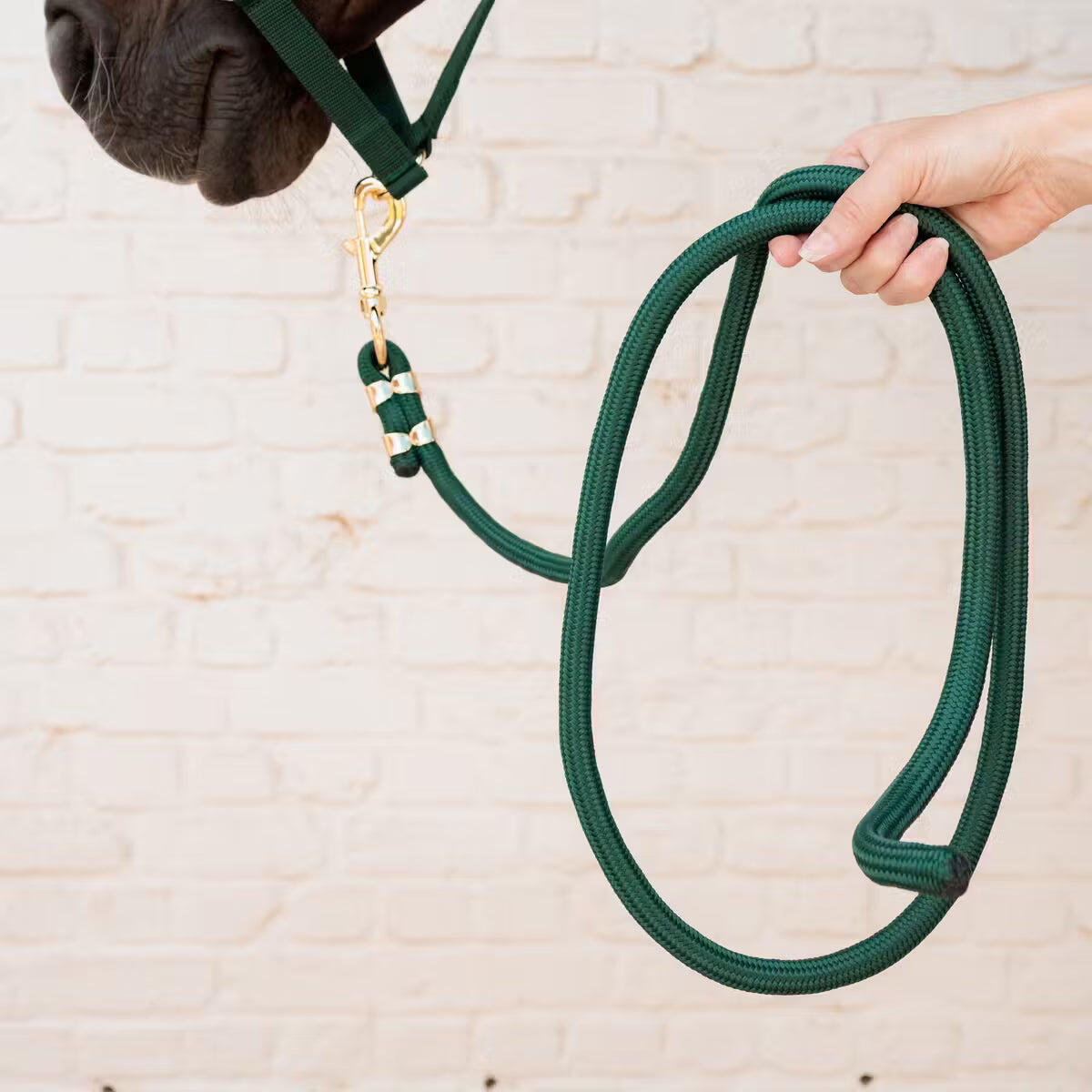 Smycz nylonowa do jazdy konnej Kentucky Horsewear