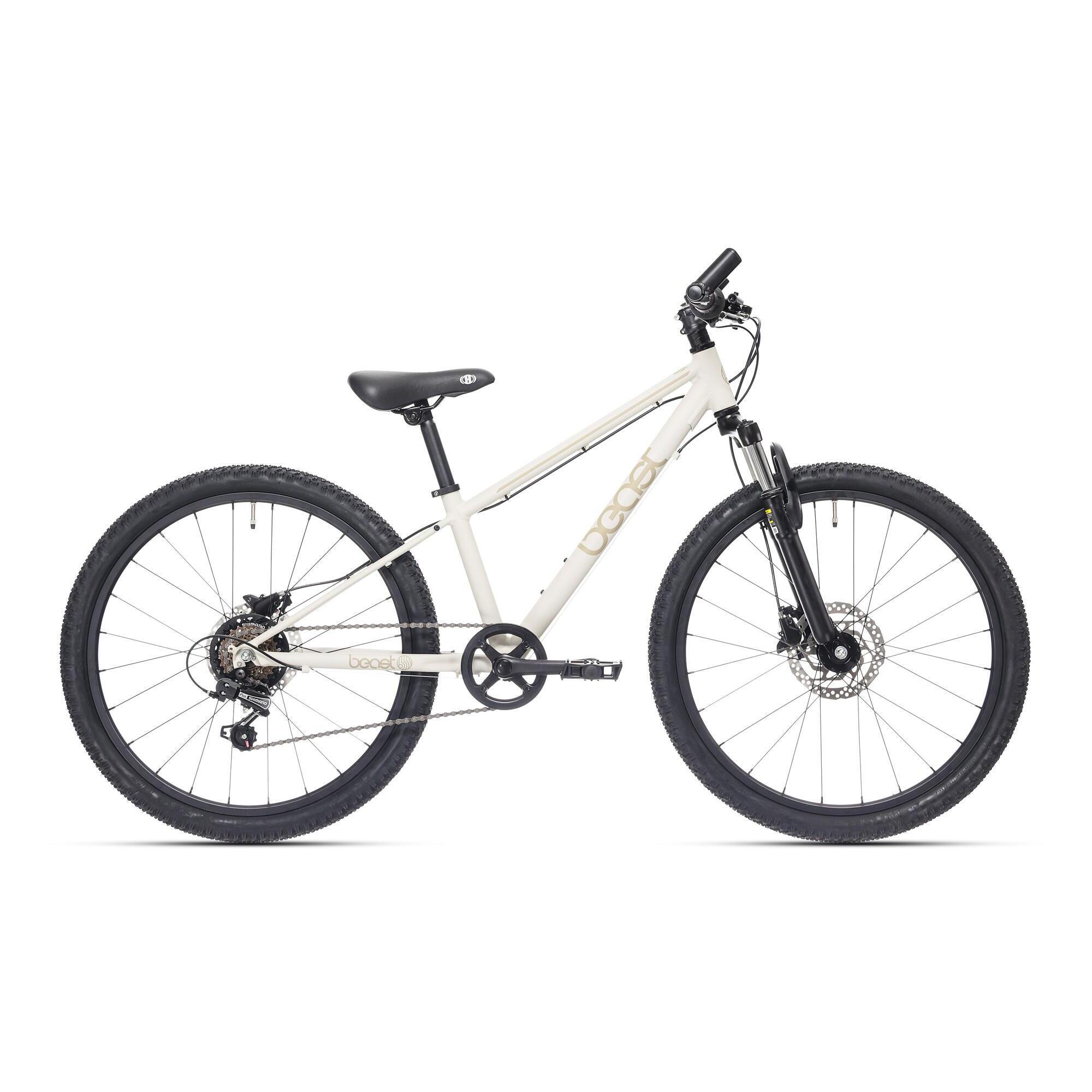 Bikefun Beast rower dziecięcy 24 cale 6 biegów szary