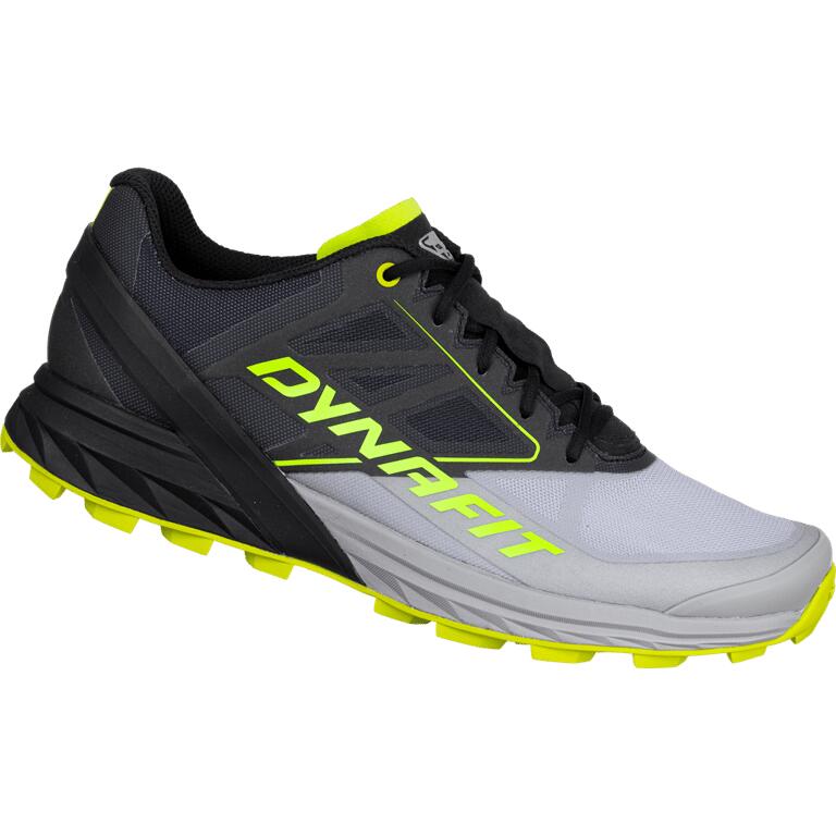 DYNAFIT Buty biegowe męskie ALPINE RUNNING SHOE alloy/black out-41
