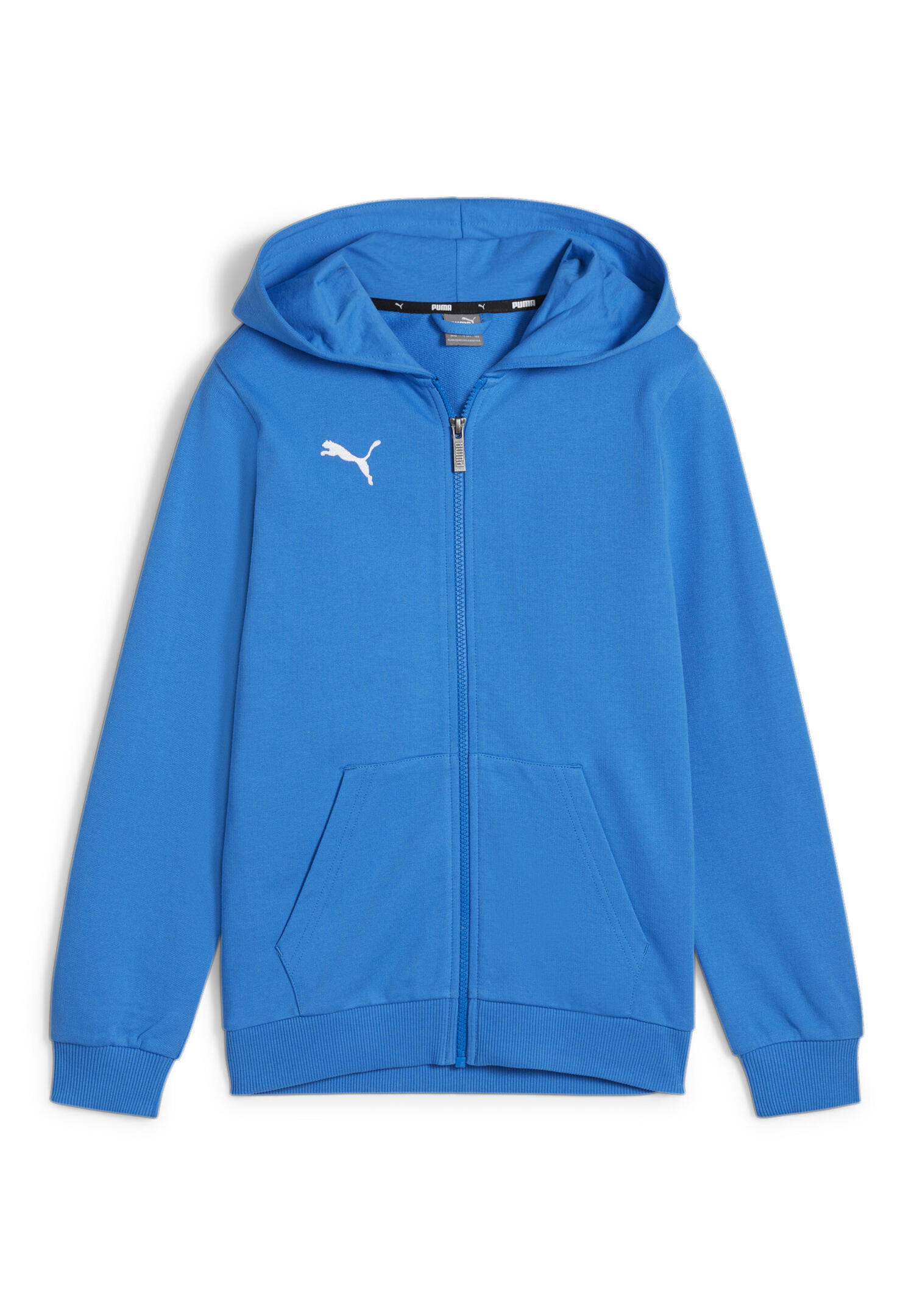 Bluza dla dzieci Puma teamGoal Casuals Hooded