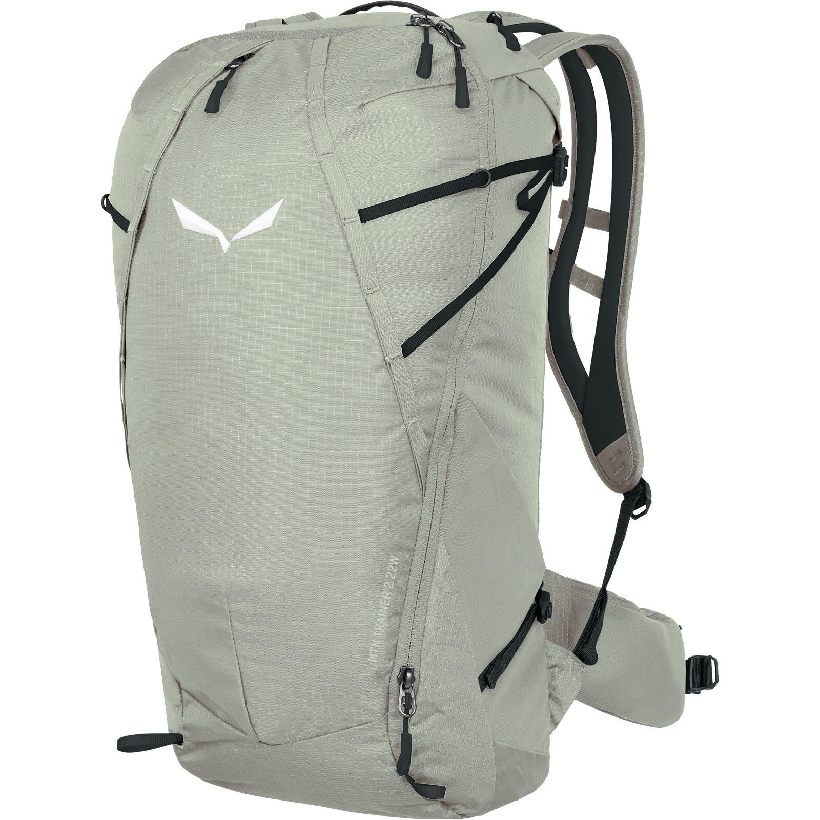 Torba turystyczna Salewa MTN Trainer 2 22 W