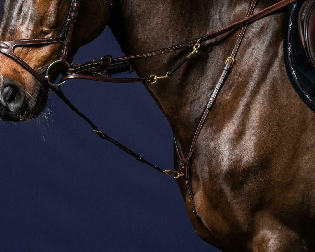 Widełki Martingale Dy'on Howlett