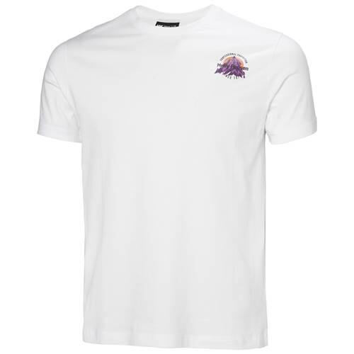 Koszulka sportowa męska Helly Hansen Core Graphic 2.0