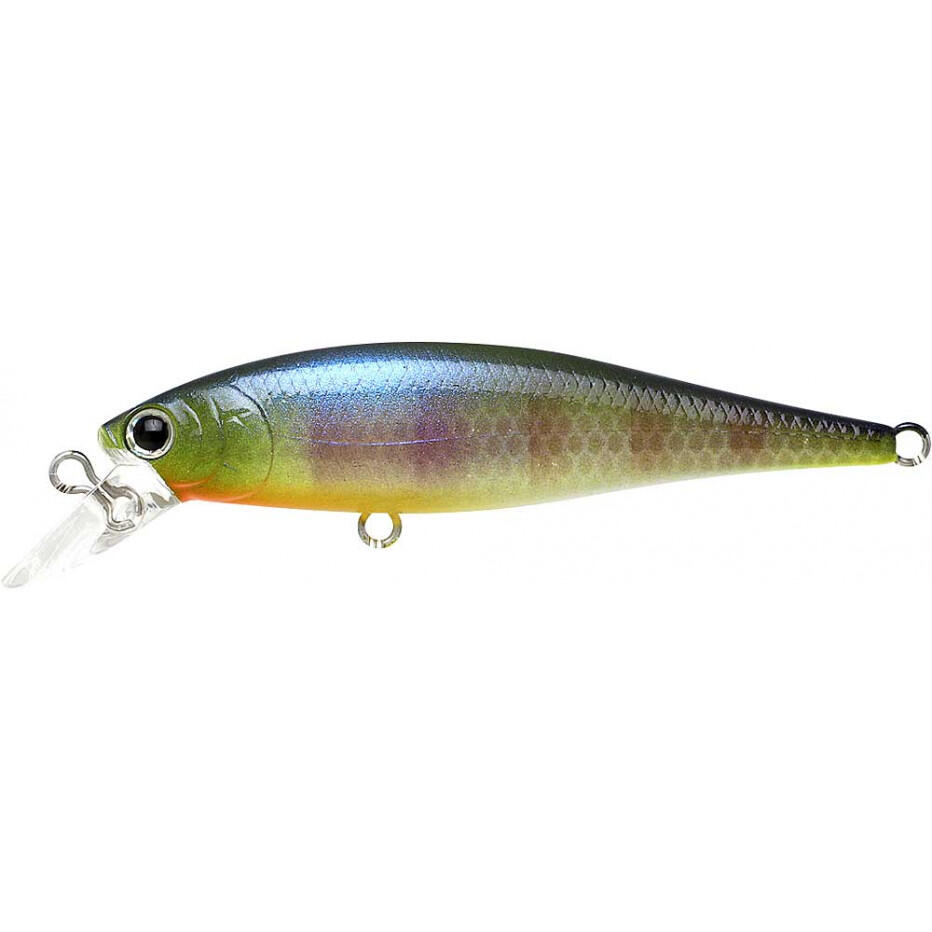 Appât Lucky Craft Pointer 65 Złoty