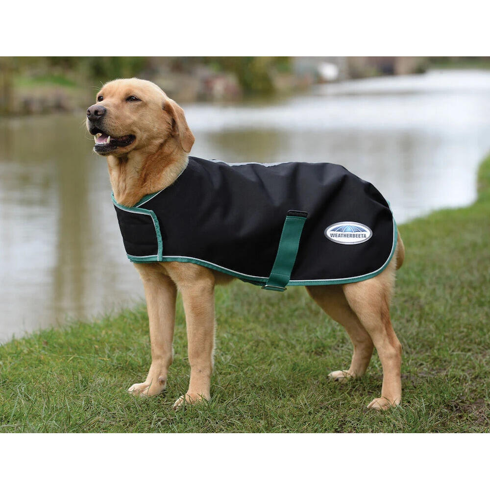 Derka dla psa Weatherbeeta Green-Tec Lite Plus