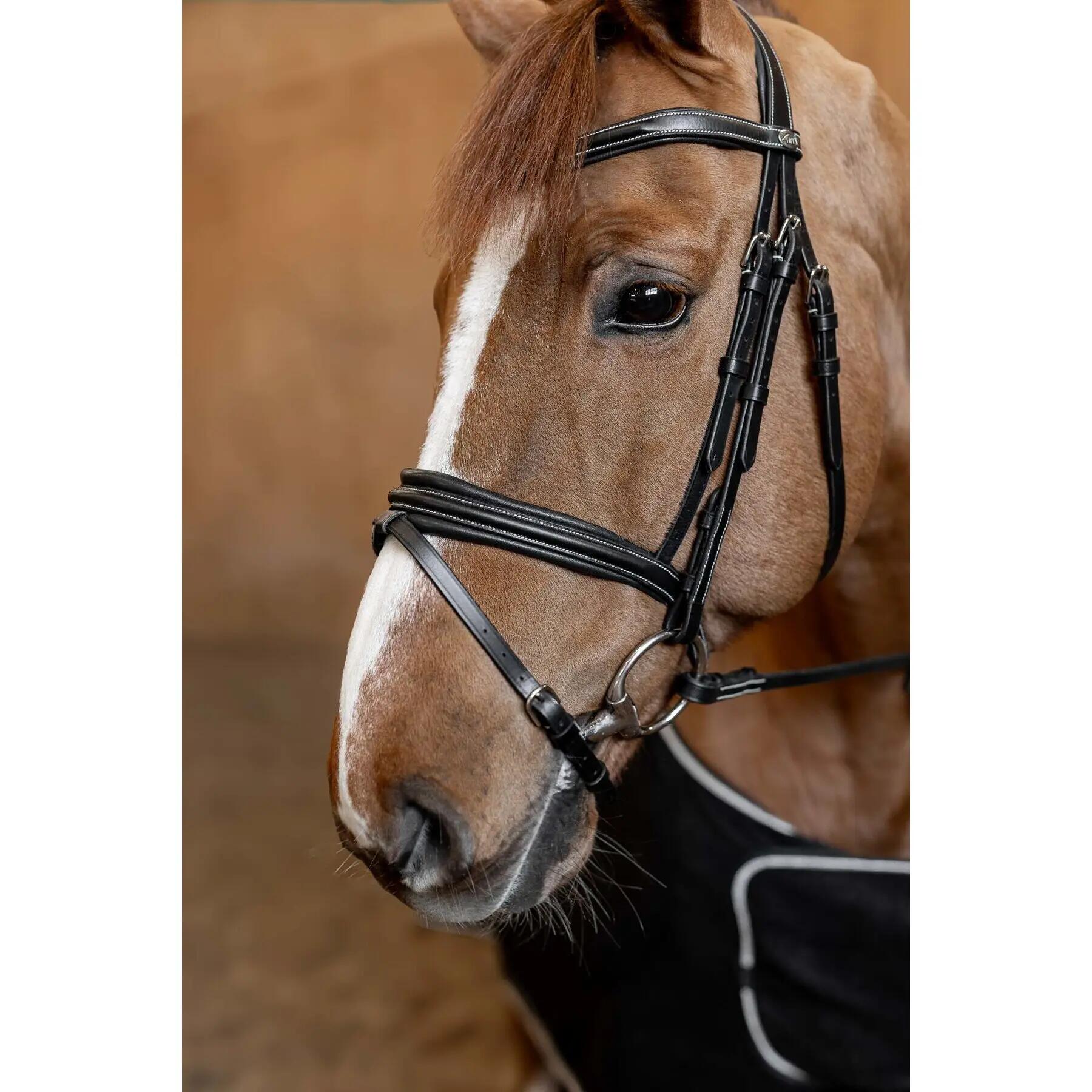 Anatomiczna uzda jeździecka HFI Padded