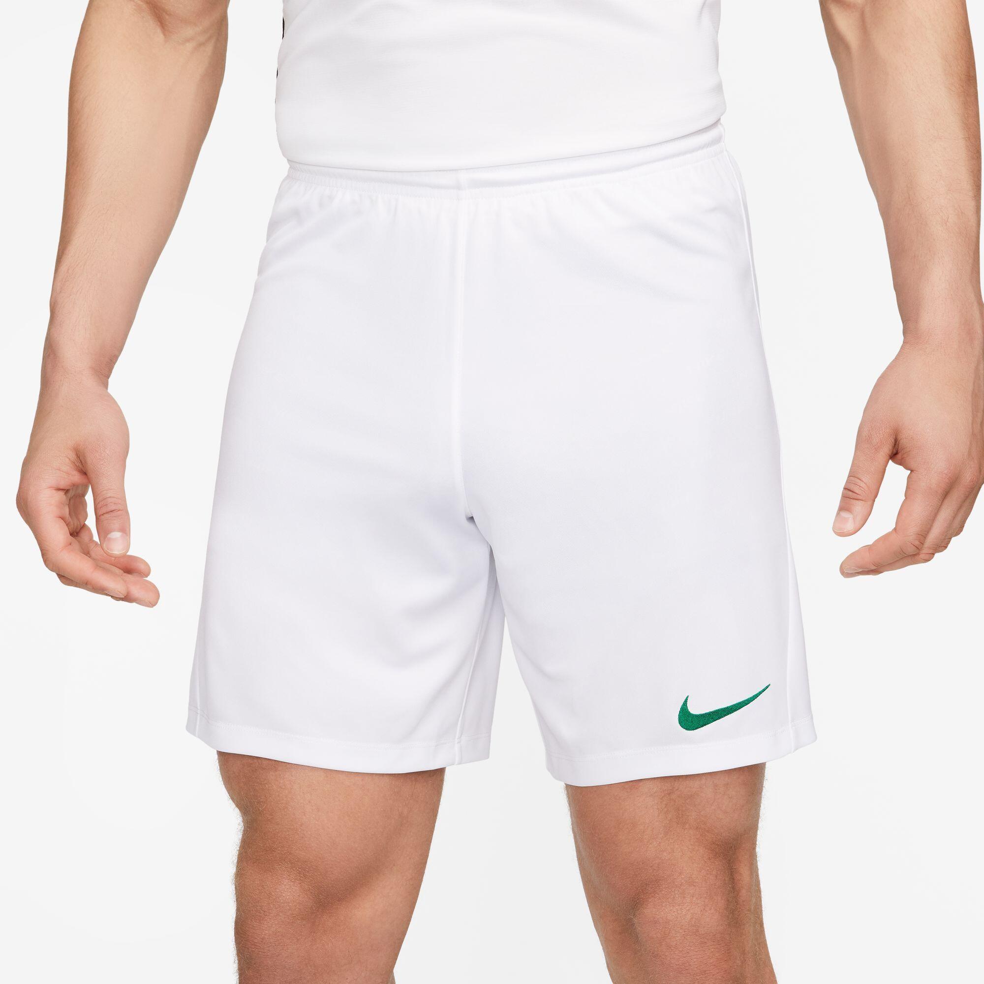 Spodnie treningowe męskie Nike Dry Park Iii Nb K