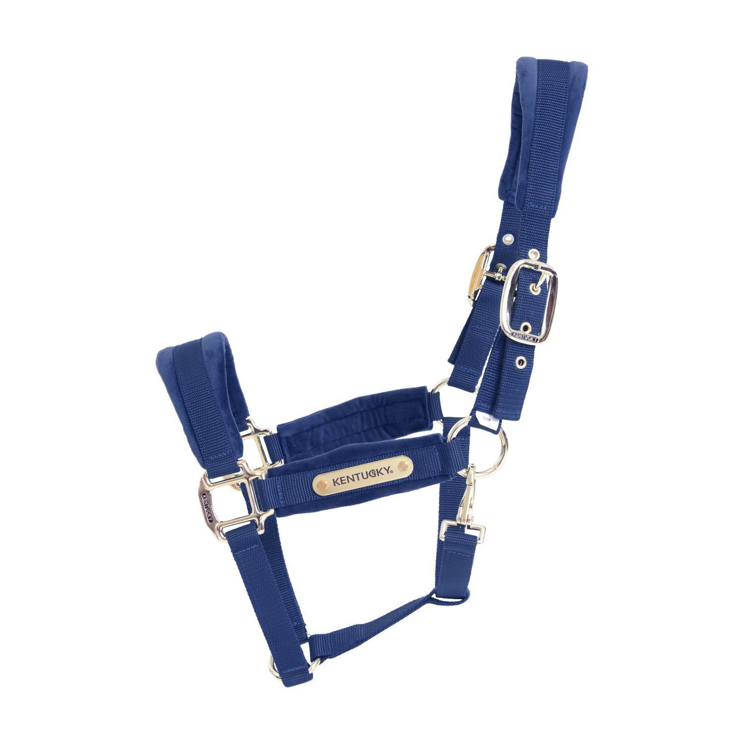 Aksamitny halter Kentucky