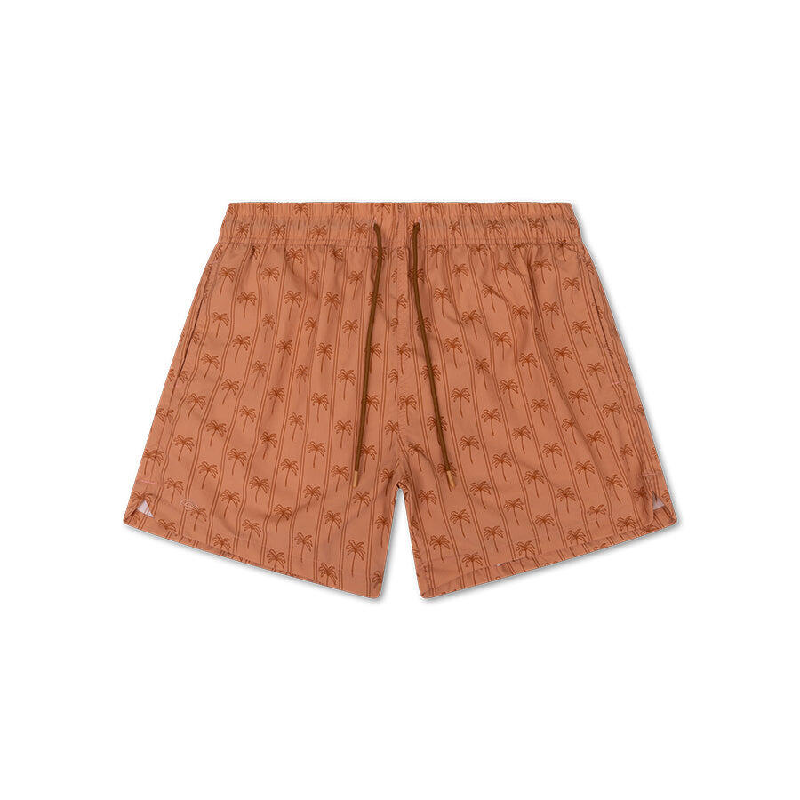 Spodenki kąpielowe Swim Essentials – brązowy – w paski – dla dorosłych