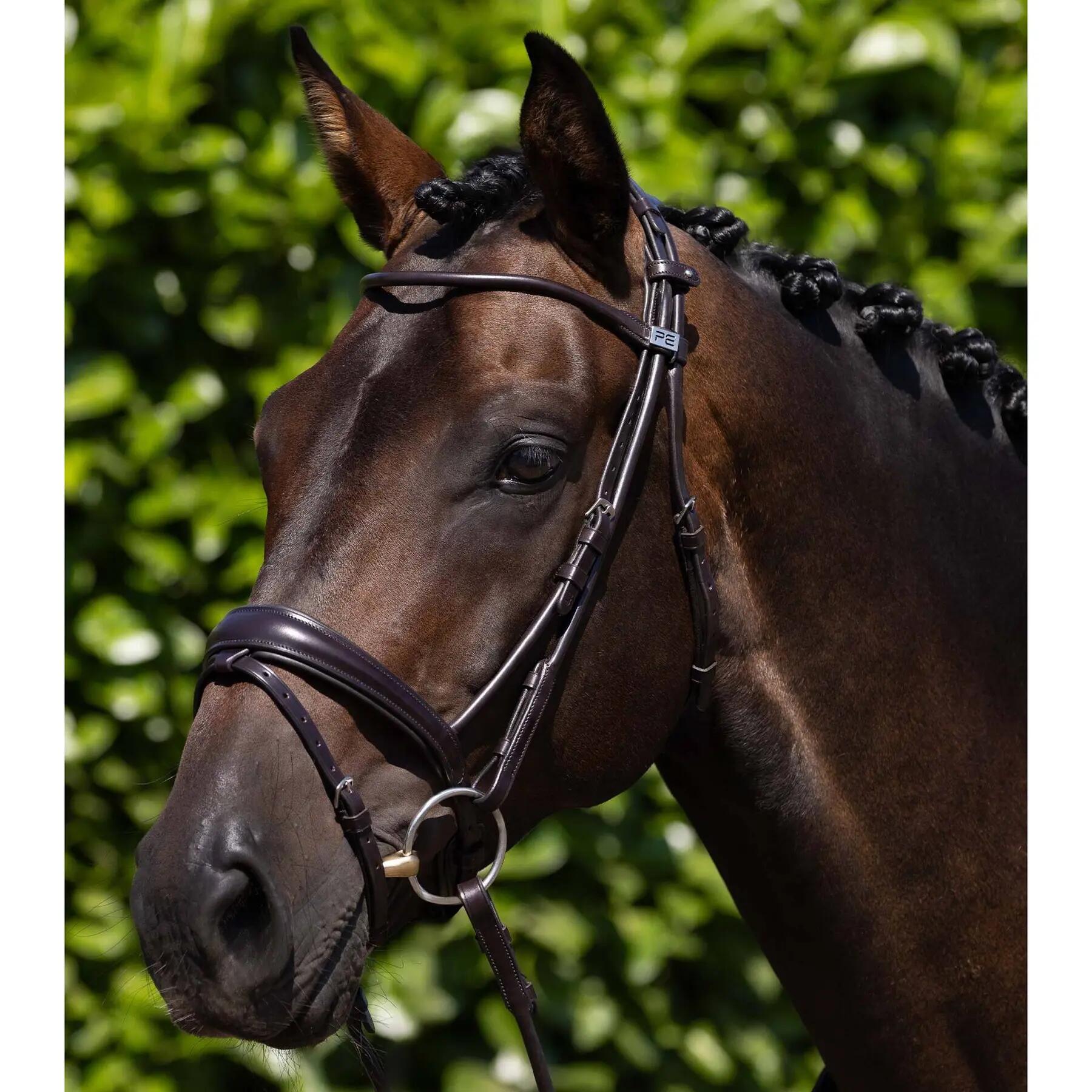 Siodło jeździeckie Premier Equine Finetti