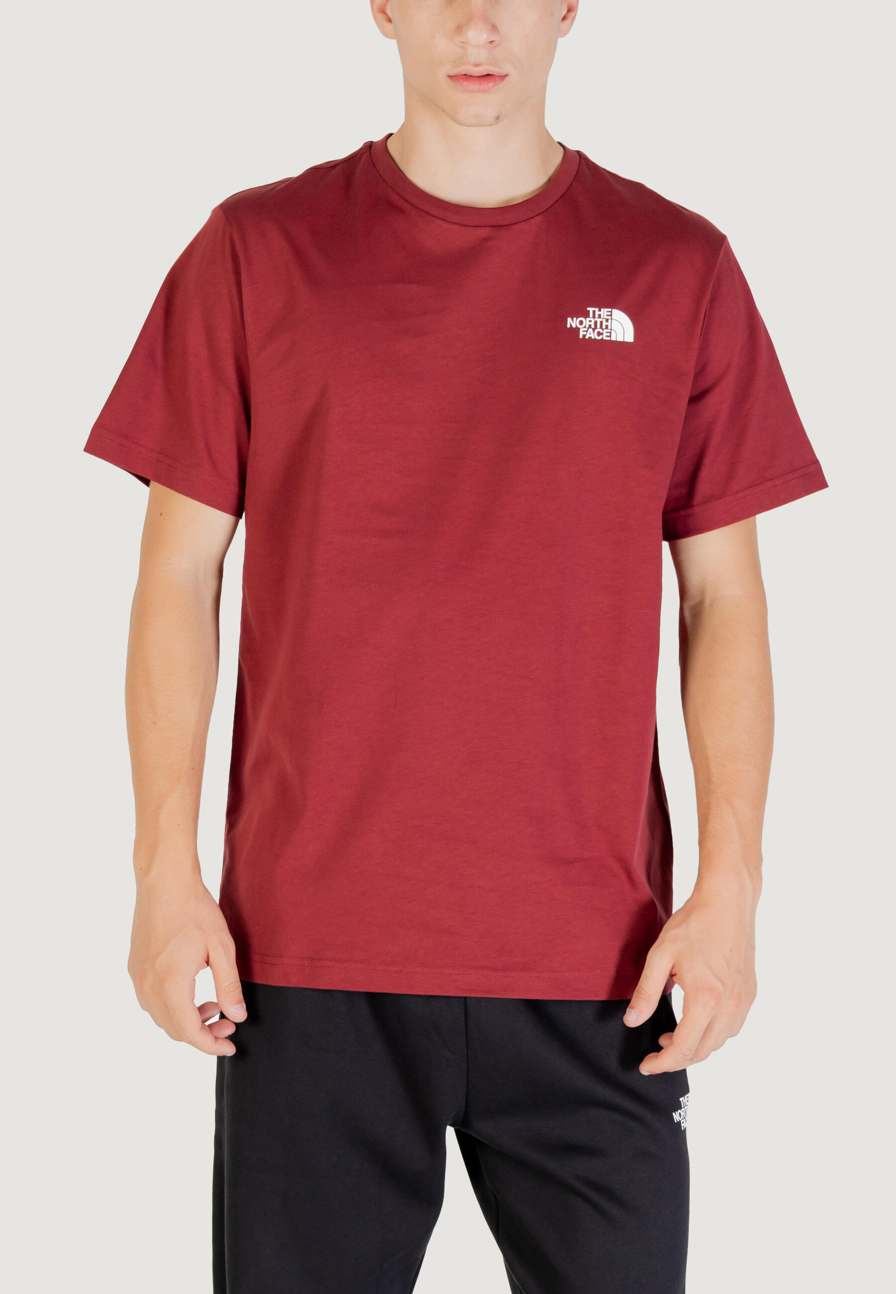 Koszulka crop top Mężczyzna THE NORTH FACE M SS BOX NSE TEE