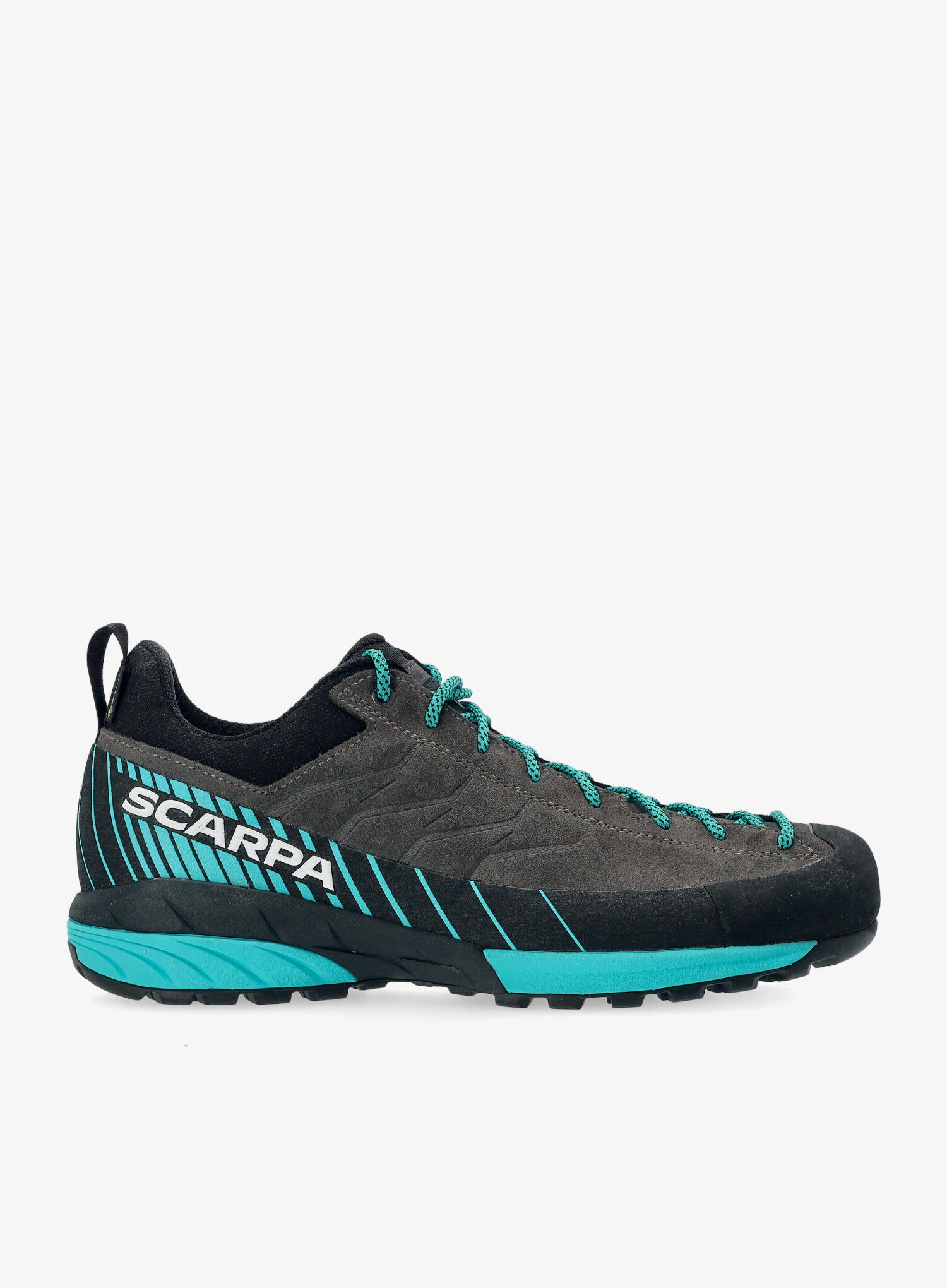 Buty podejściowe męskie Scarpa Mescalito GTX