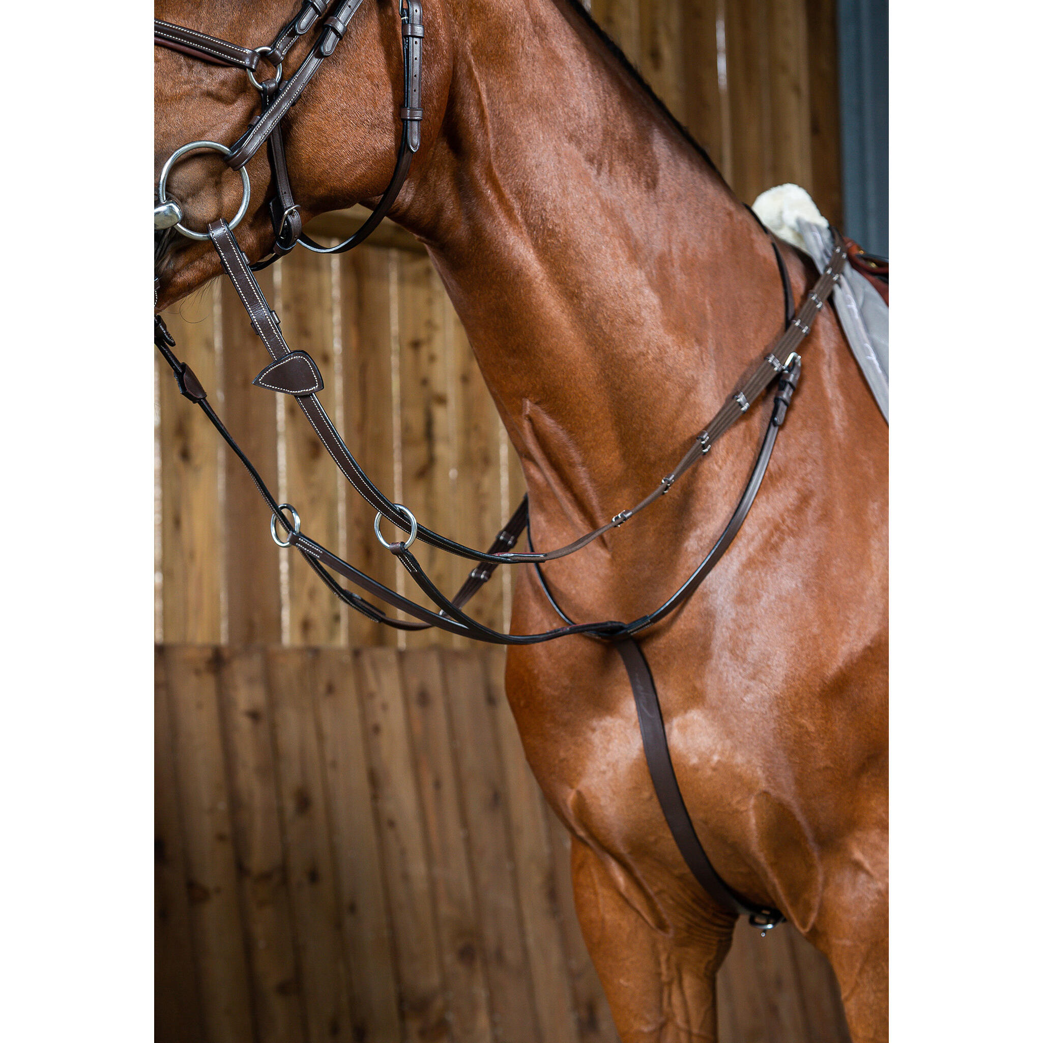 Martingale z pierścieniami Dy'on