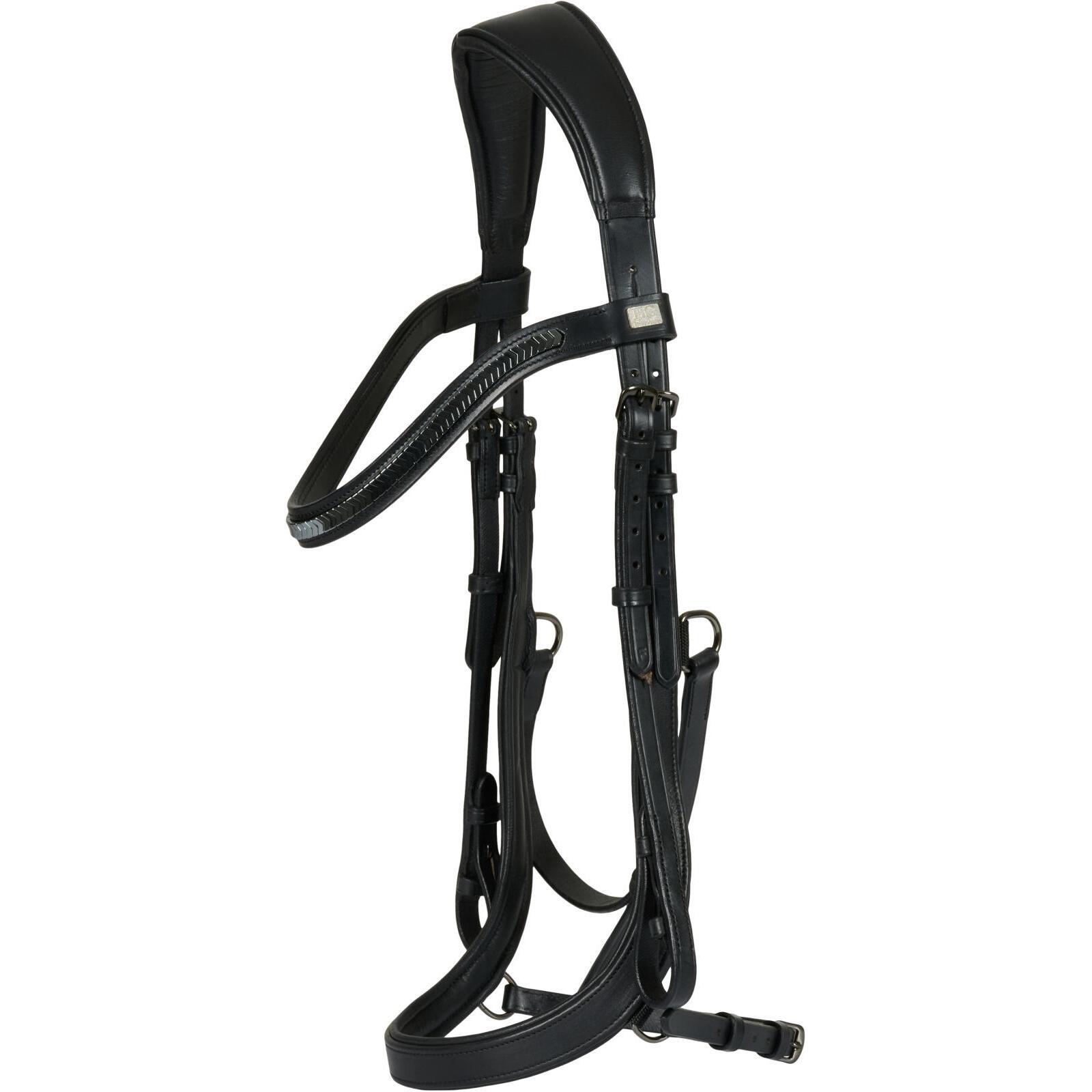 Anatomiczny pasek do jazdy konnej HorseGuard Tine