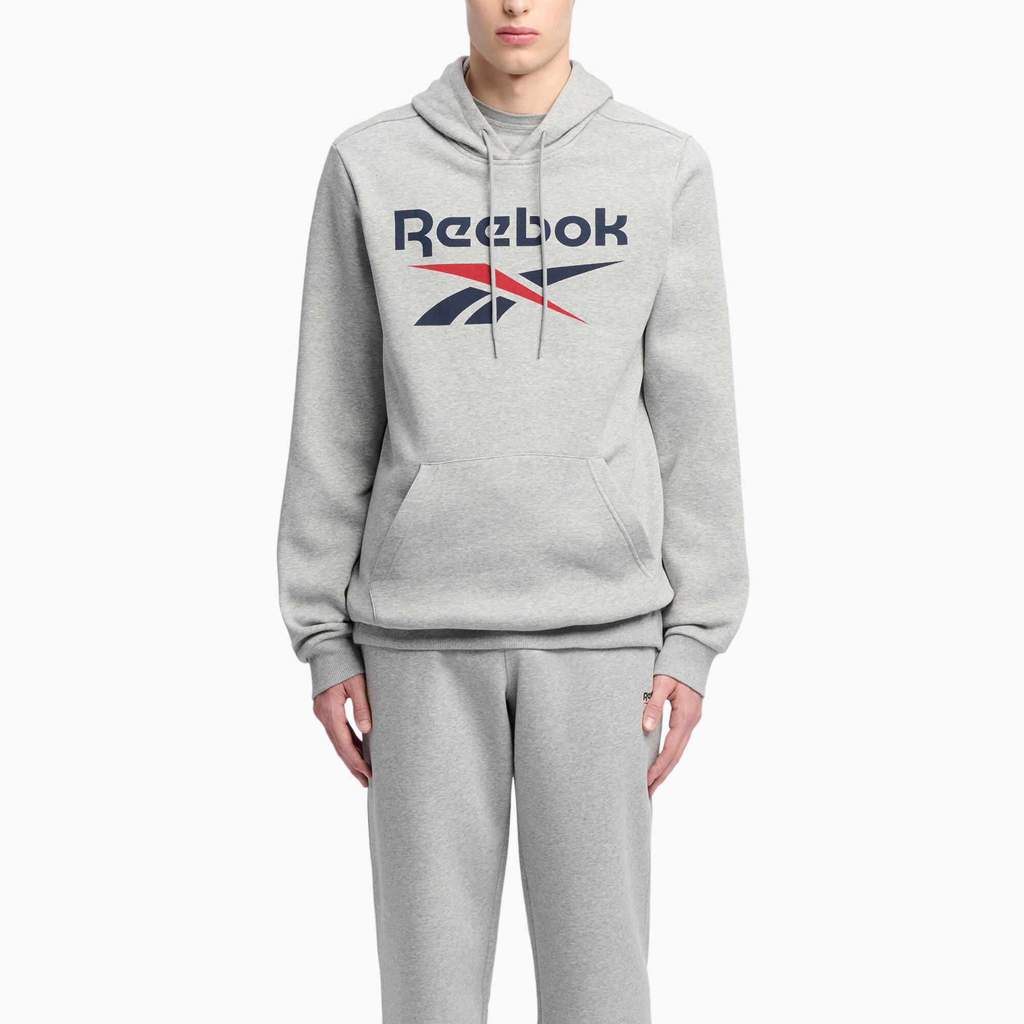 Bluza męska Reebok Identity Big Logo Fleece Hoodie