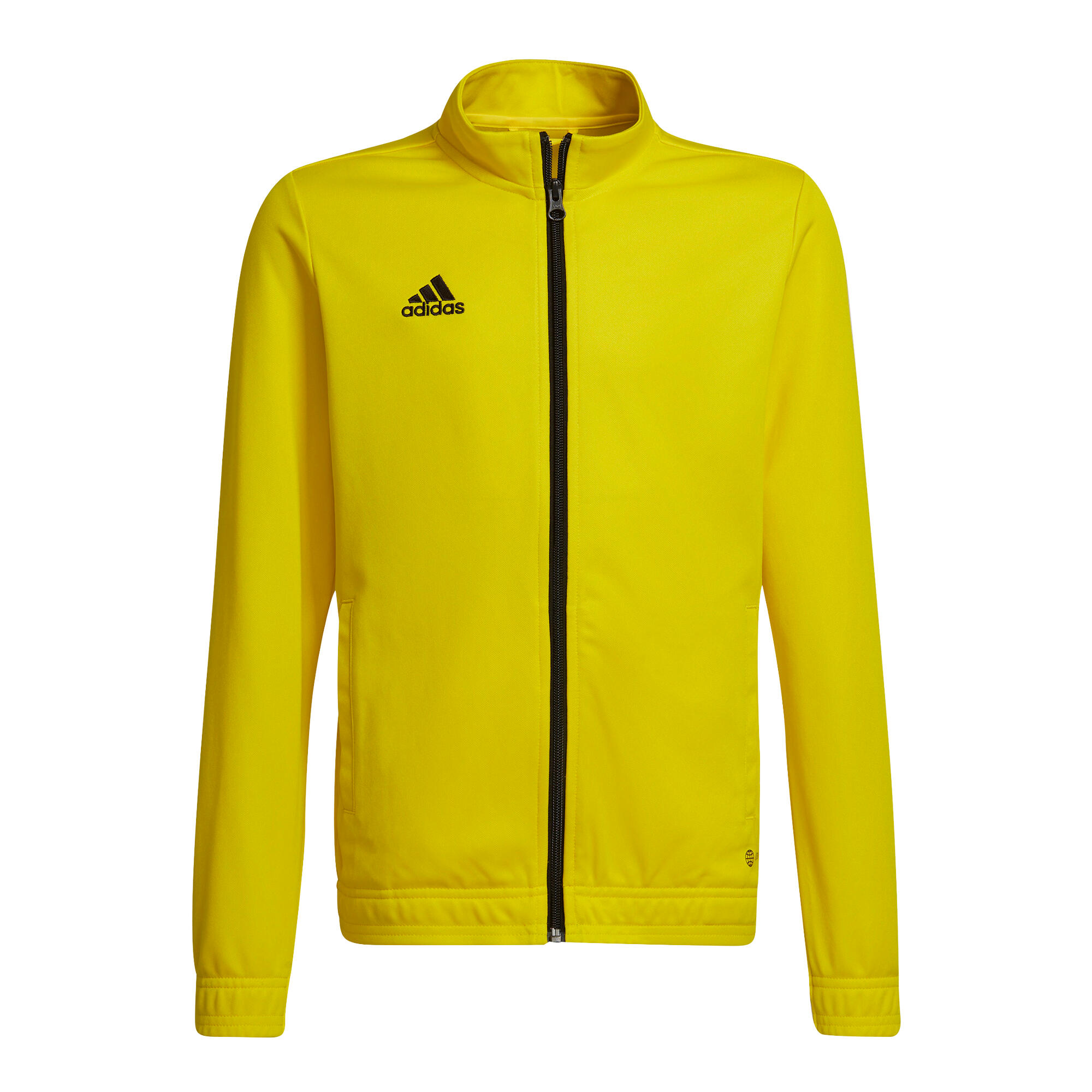 Dziecięca bluza dresowa adidas Entrada 22