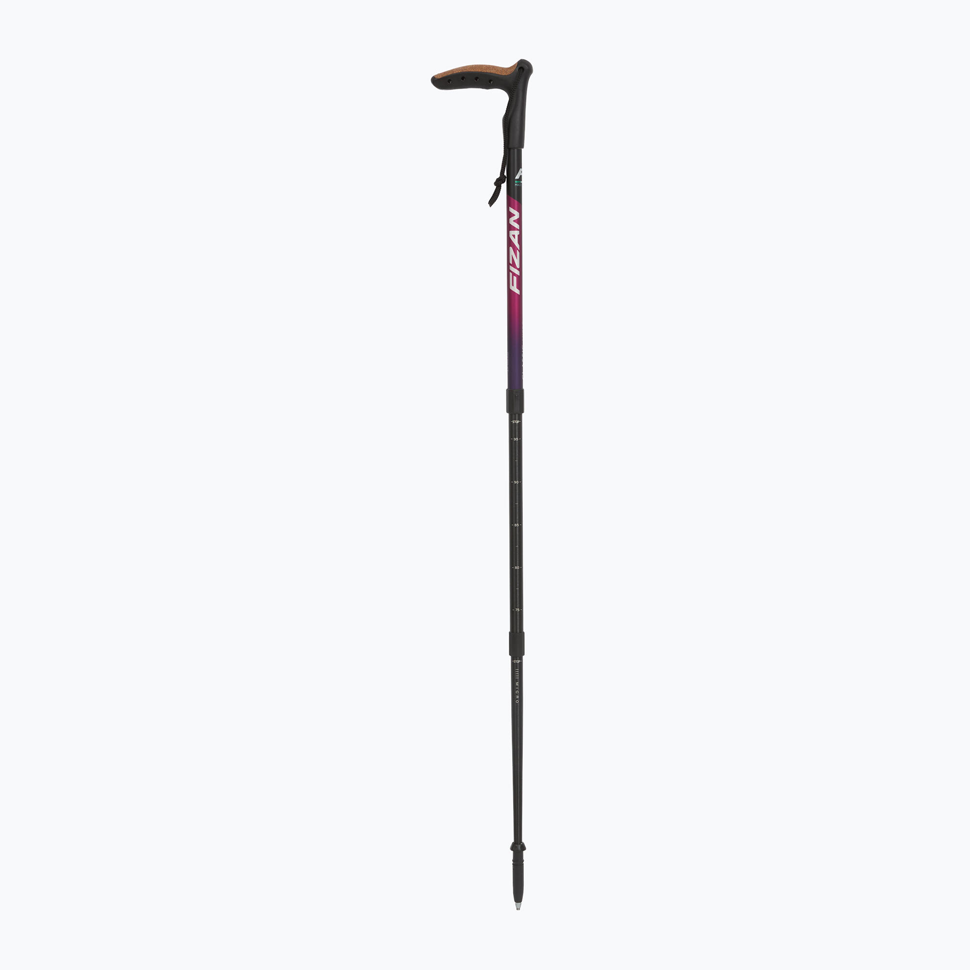Kij nordic walking Fizan Classic Micro