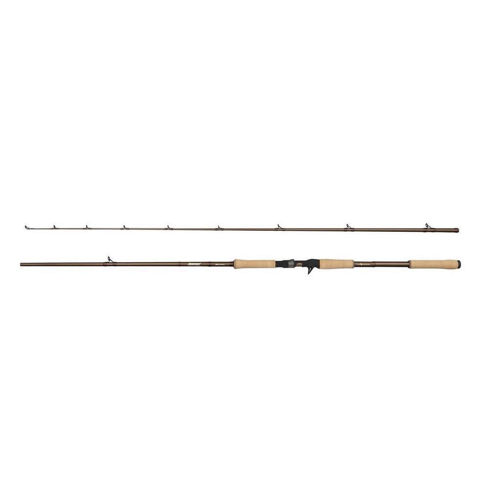 Wędka castingowa Abu Garcia Beast Pro2 25-70 g