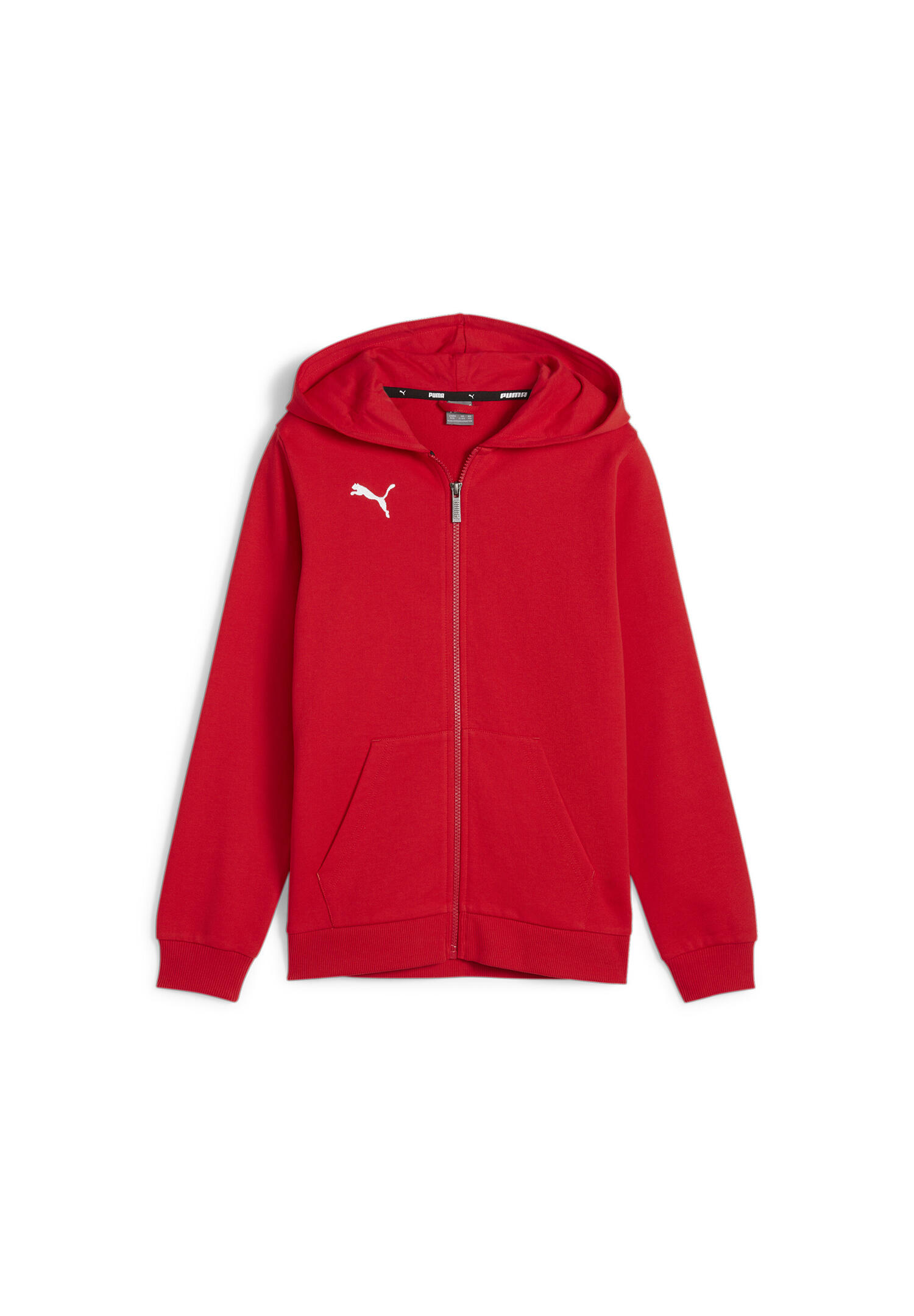 Bluza dla dzieci Puma teamGoal Casuals Hooded