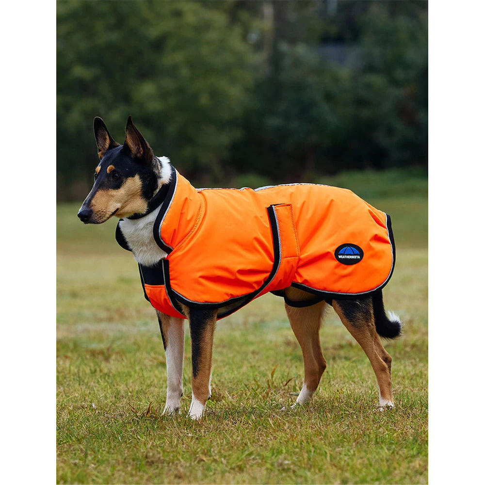 Sierść psa Weatherbeeta Comfitec Reflective Deluxe 300D
