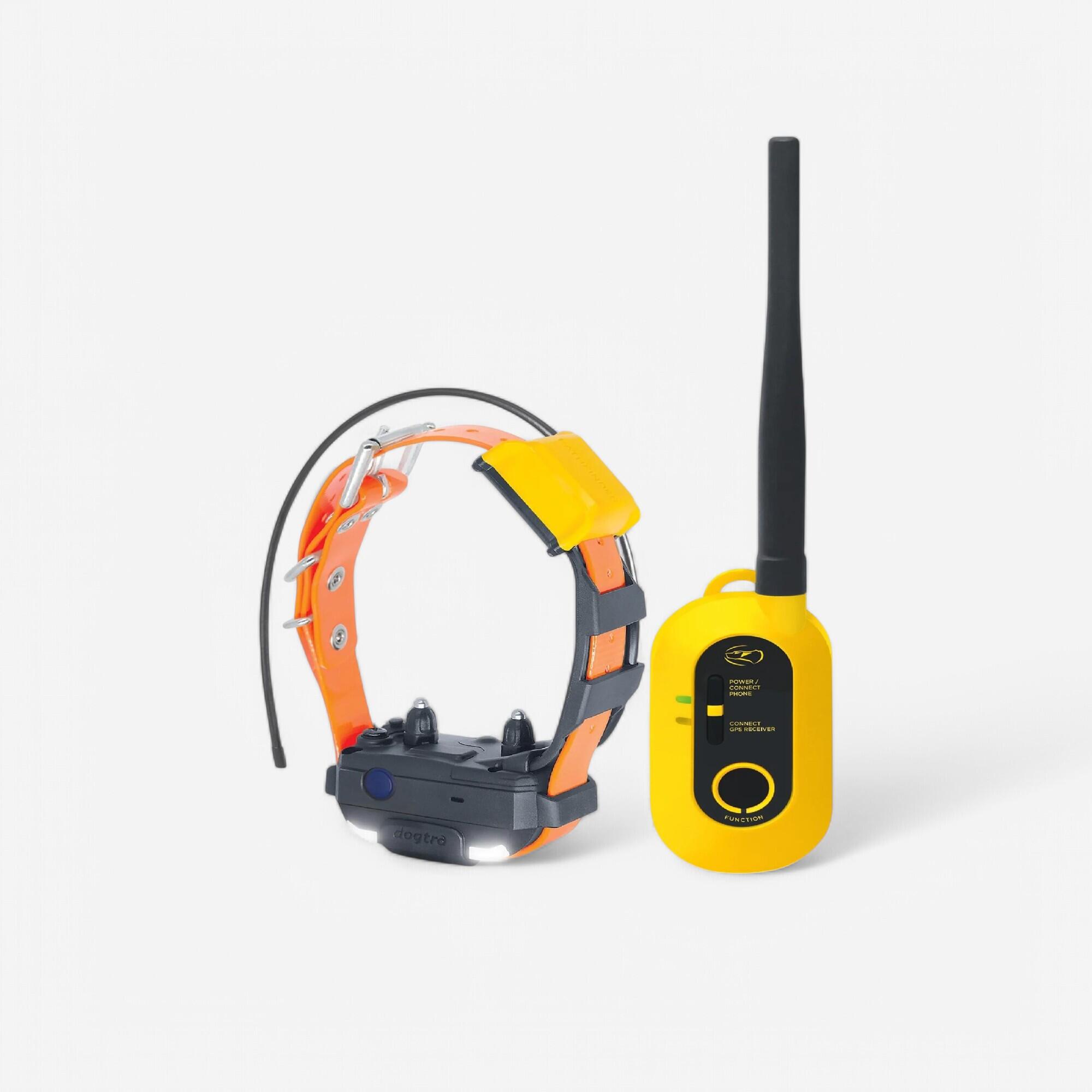 Zestaw obroża Dogtra Pathfinder Mini V2 + pilot