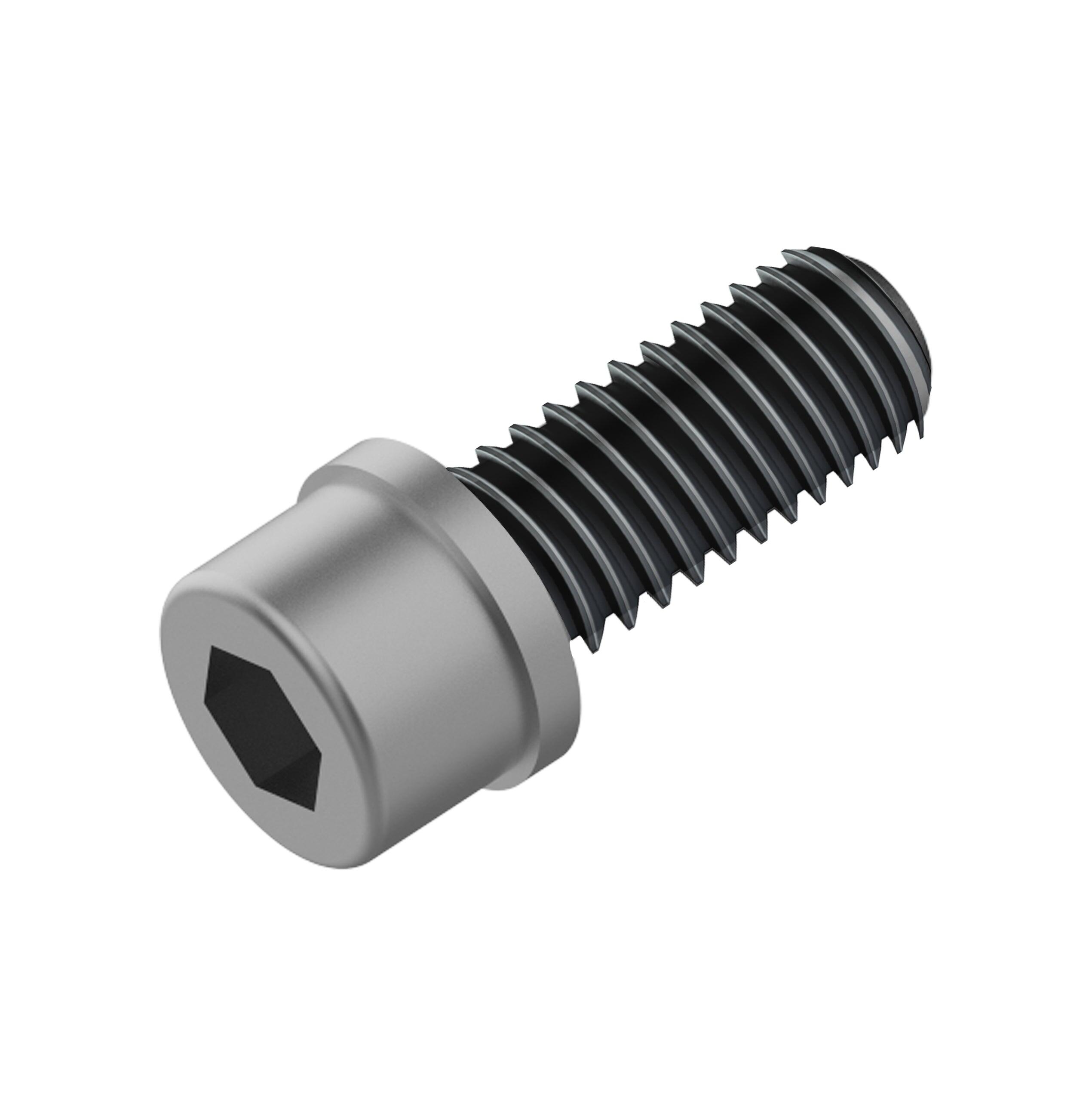 Śruba adaptera hamulca Fahrwerker M6x18 LEV ISO10644 100 sztuk
