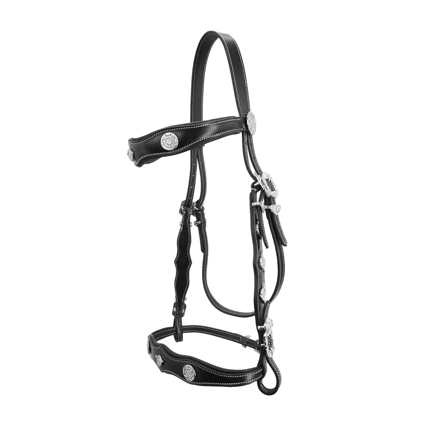 Uzda jeździecka Kieffer Isabella with leather reins
