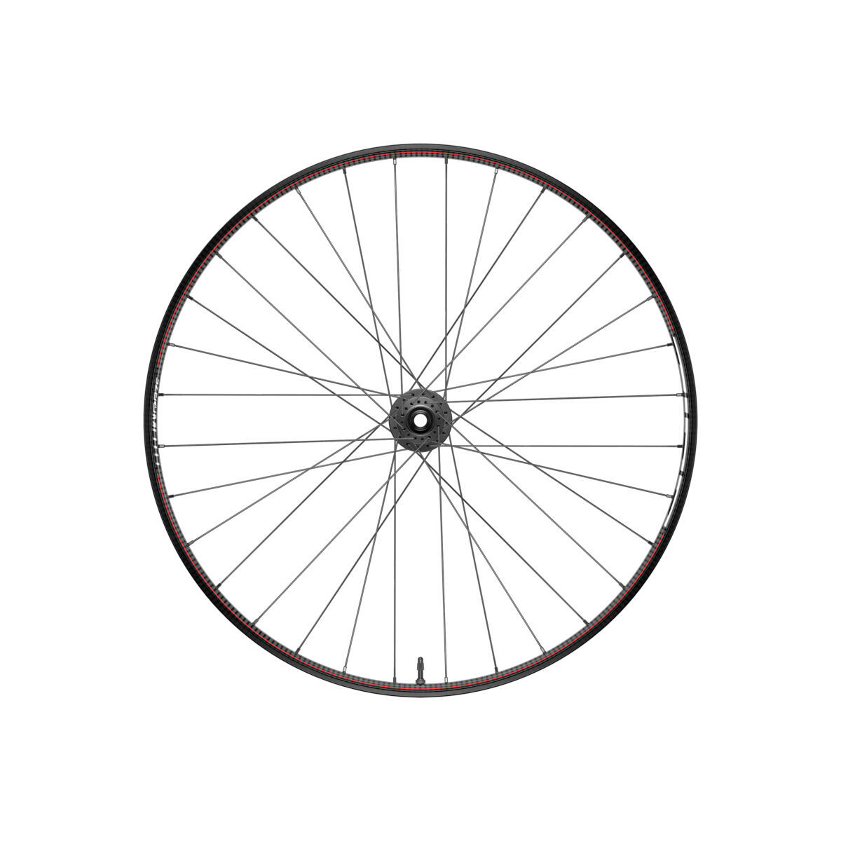 Tylne koło roweru Zipp 3Zero Moto Zm2 Xd 12V 29 12X148 Slate/Stealth