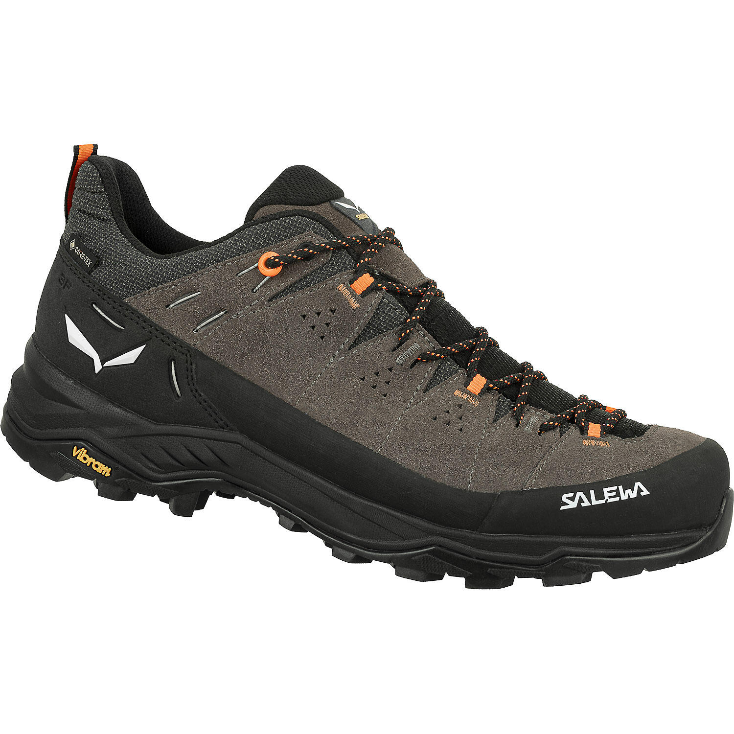 Buty Trekkingowe Męskie Salewa Alp Trainer 2 Gtx