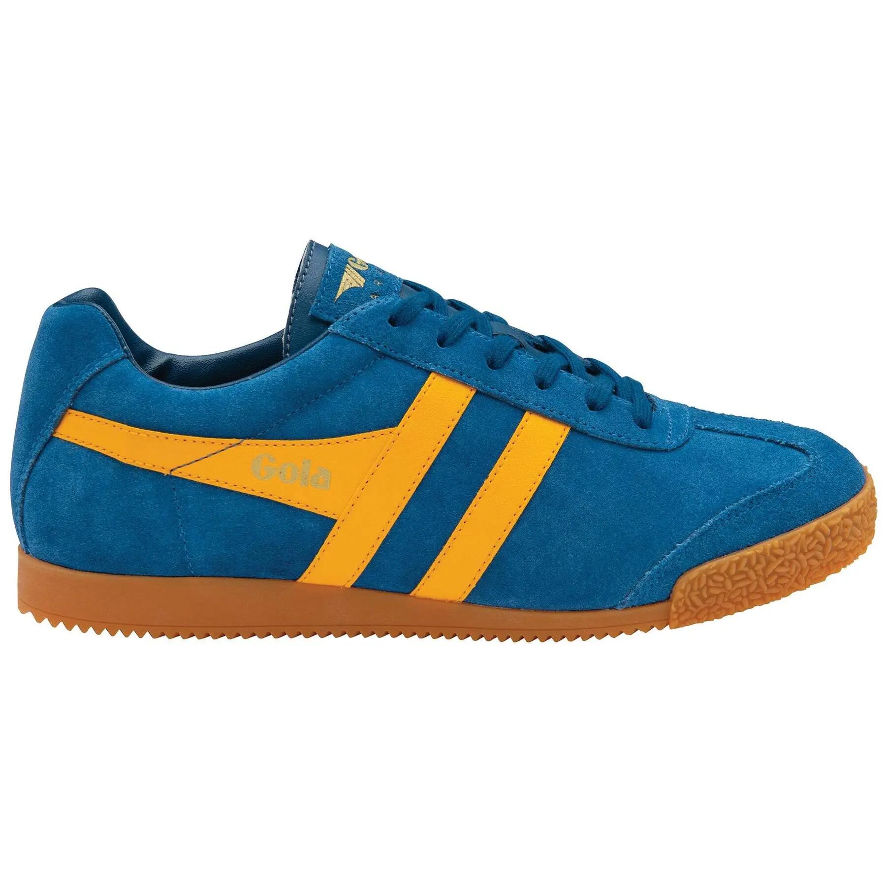Trenerzy z zamszu Gola Harrier